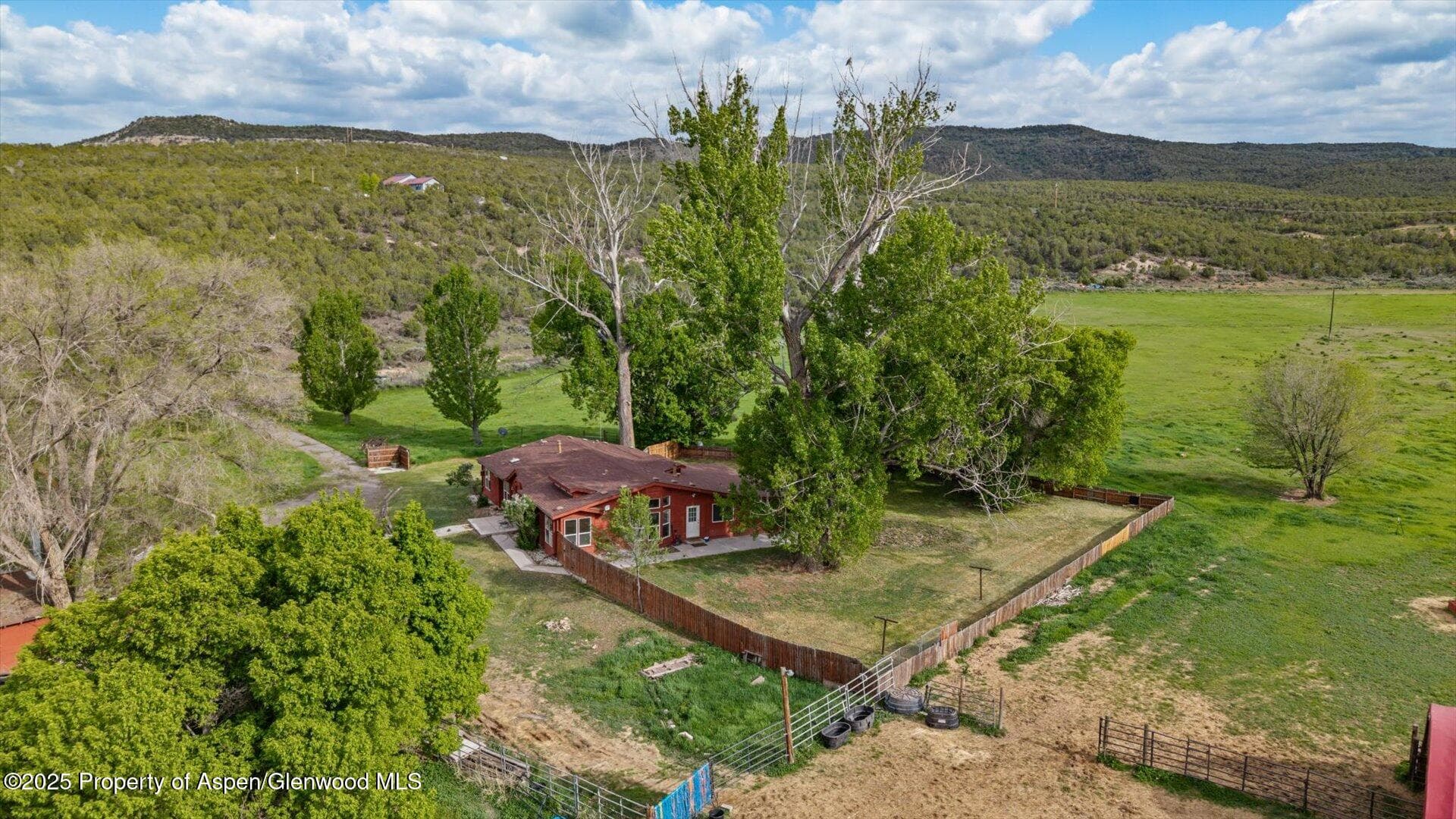 10479 50 Road, Mesa, CO 81643 - Photo 33