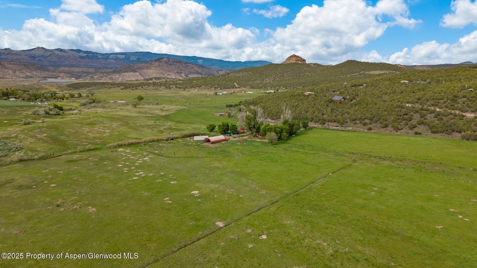 10479 50 Road, Mesa, CO 81643 - Photo 40