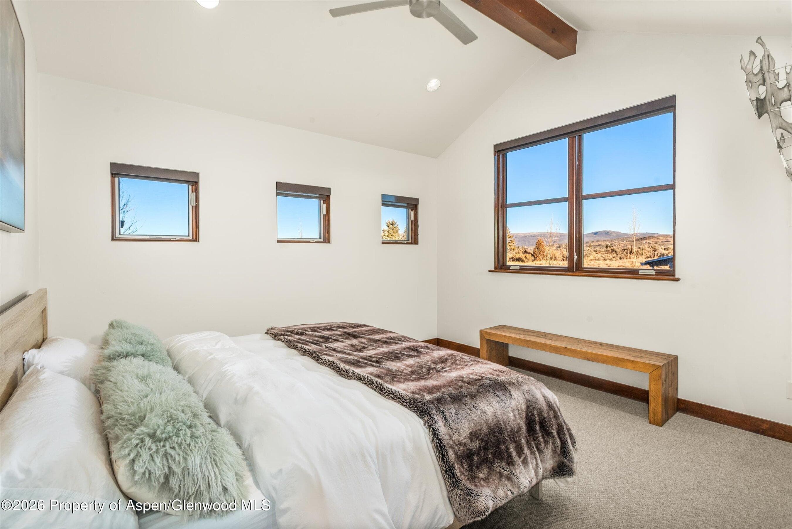 91 Schooner Lane, Carbondale, CO 81623 - Photo 8