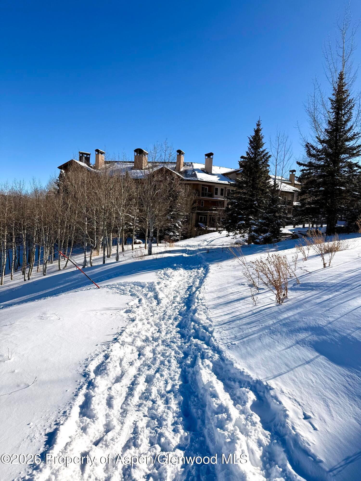 425 Wood Road 56, Snowmass Village, CO 81615 - Photo 49