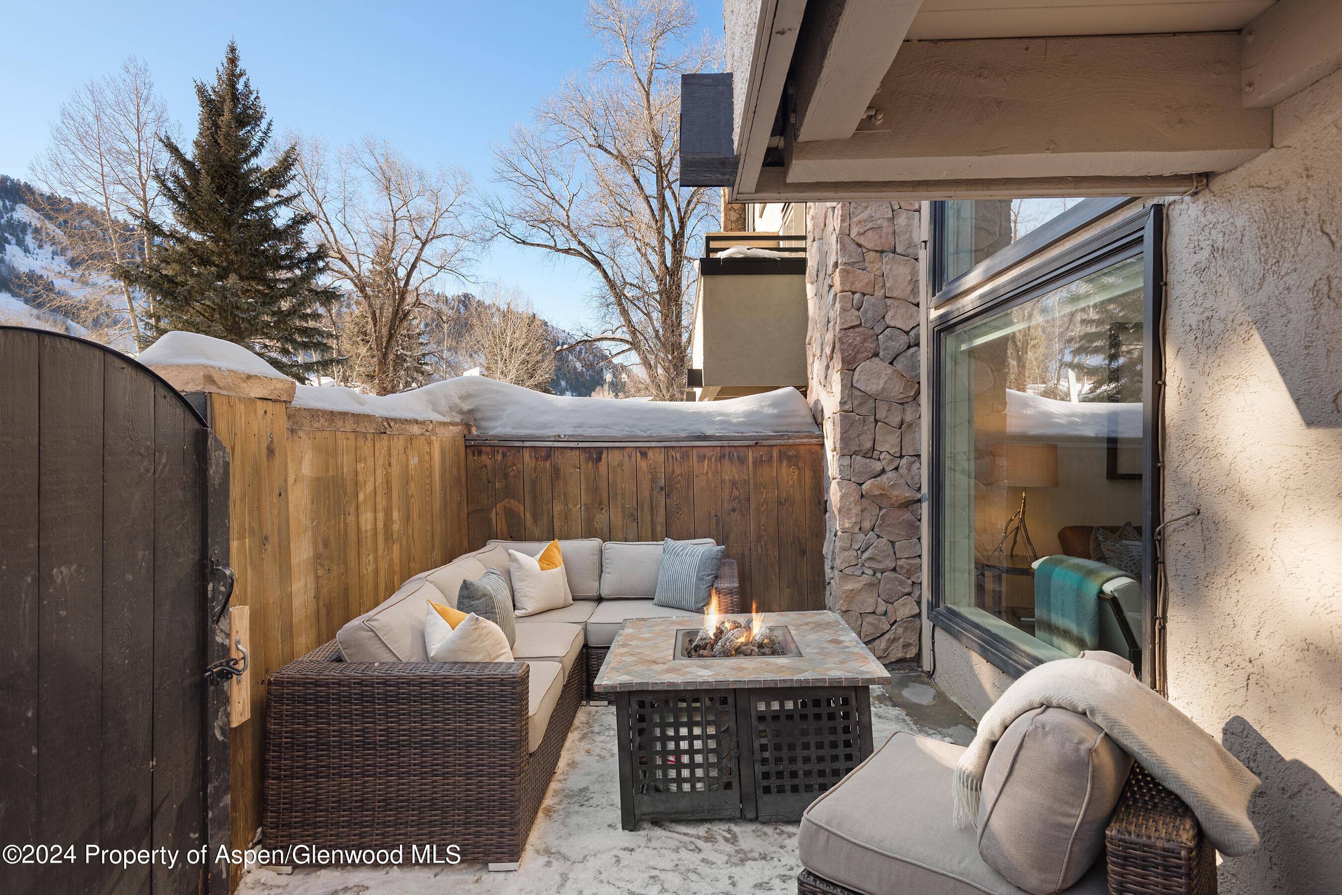 1024 E Cooper Avenue 3a, Aspen, CO 81611 - Photo 20