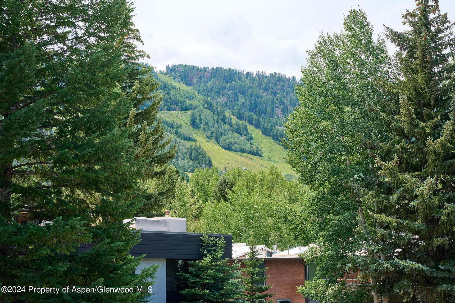 1024 E Cooper Avenue 3a, Aspen, CO 81611 - Photo 24