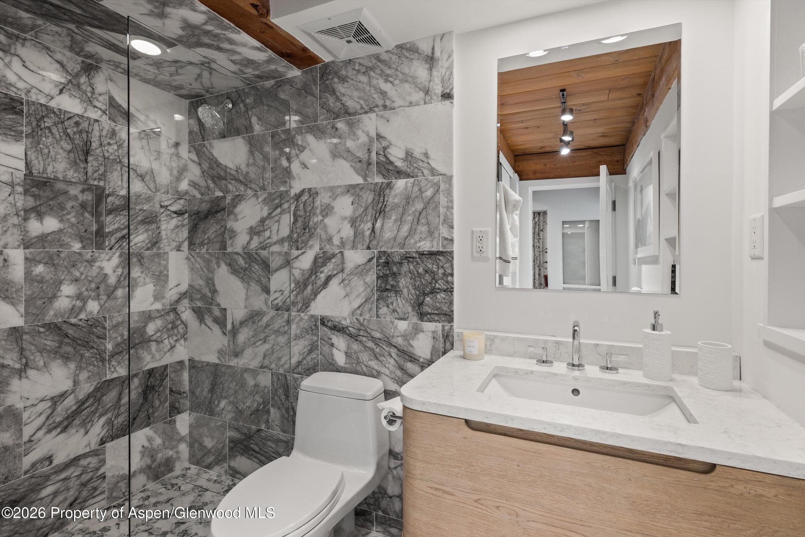 1024 E Cooper Avenue 3a, Aspen, CO 81611 - Photo 14