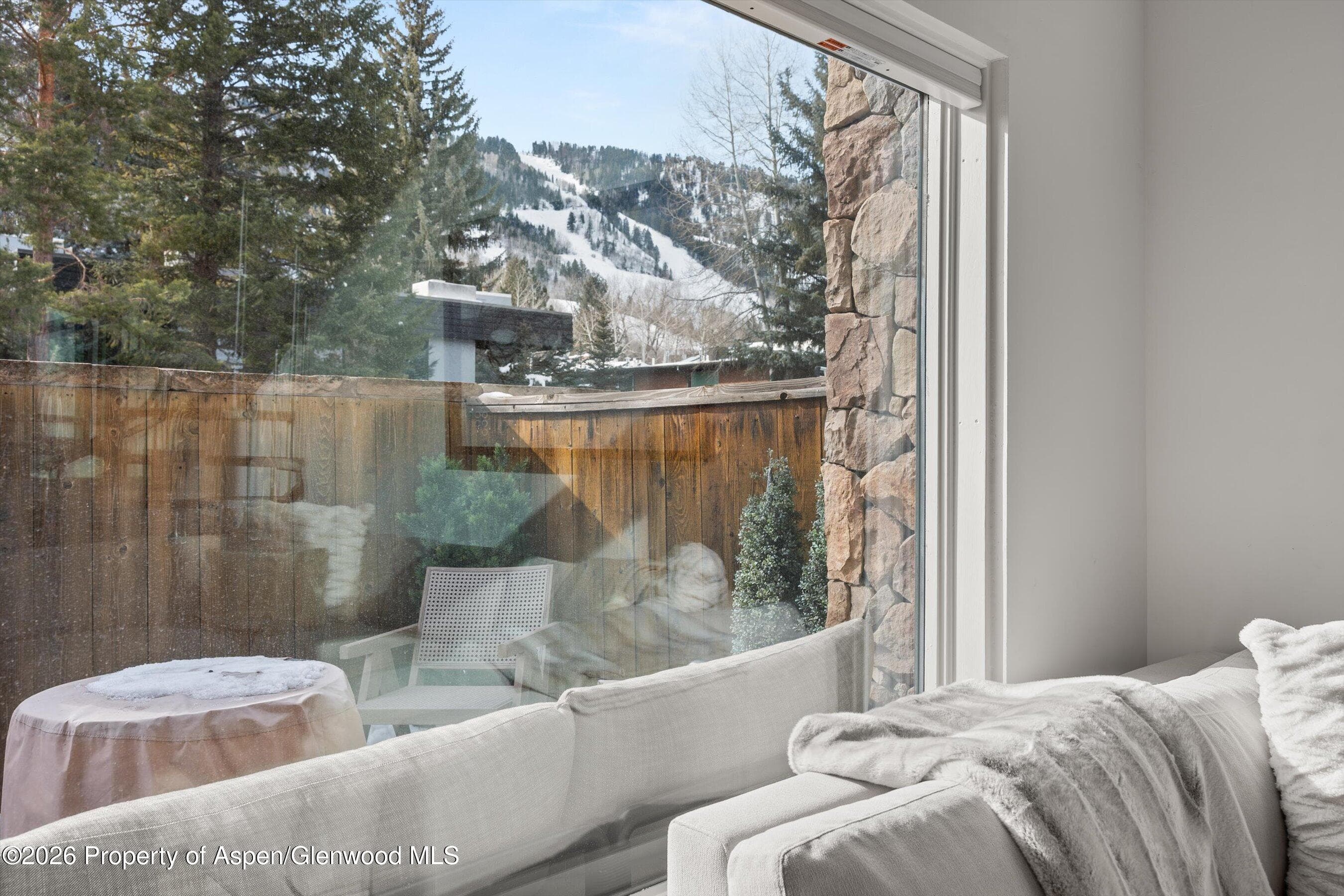 1024 E Cooper Avenue 3a, Aspen, CO 81611 - Photo 18