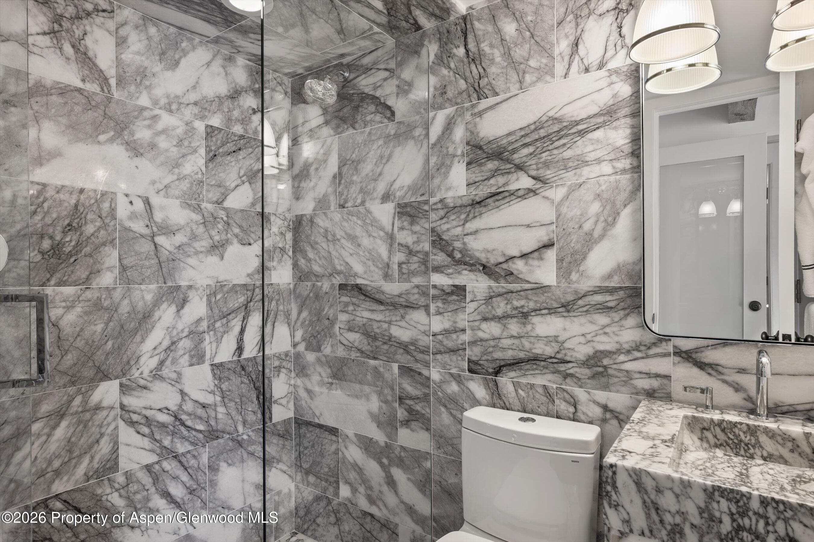 1024 E Cooper Avenue 3a, Aspen, CO 81611 - Photo 16