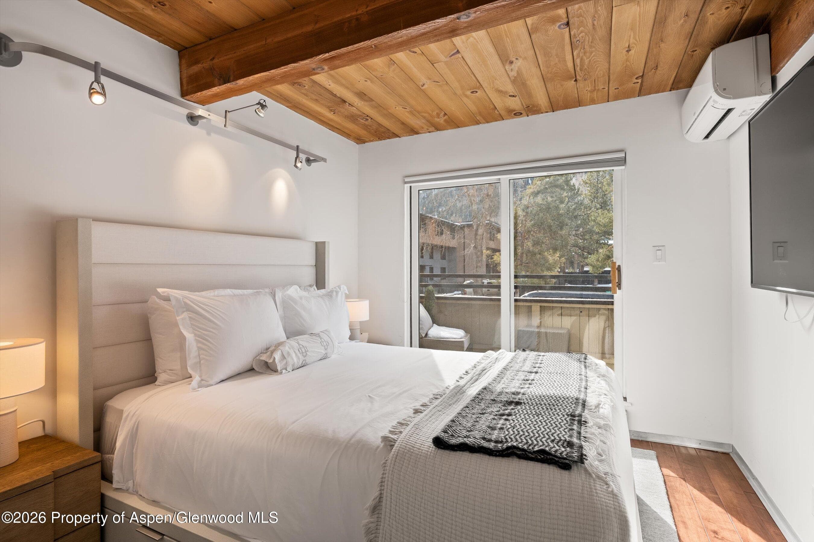 1024 E Cooper Avenue 3a, Aspen, CO 81611 - Photo 15