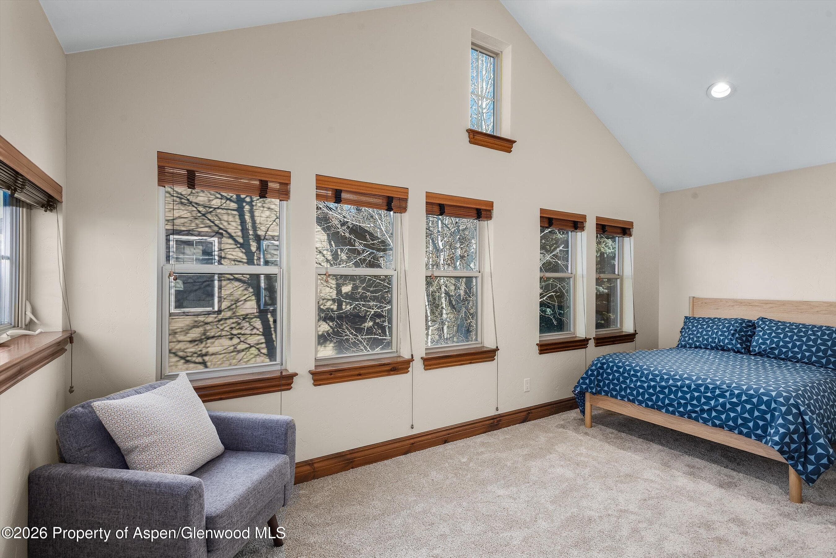 225 Juniper Court, Basalt, CO 81621 - Photo 20