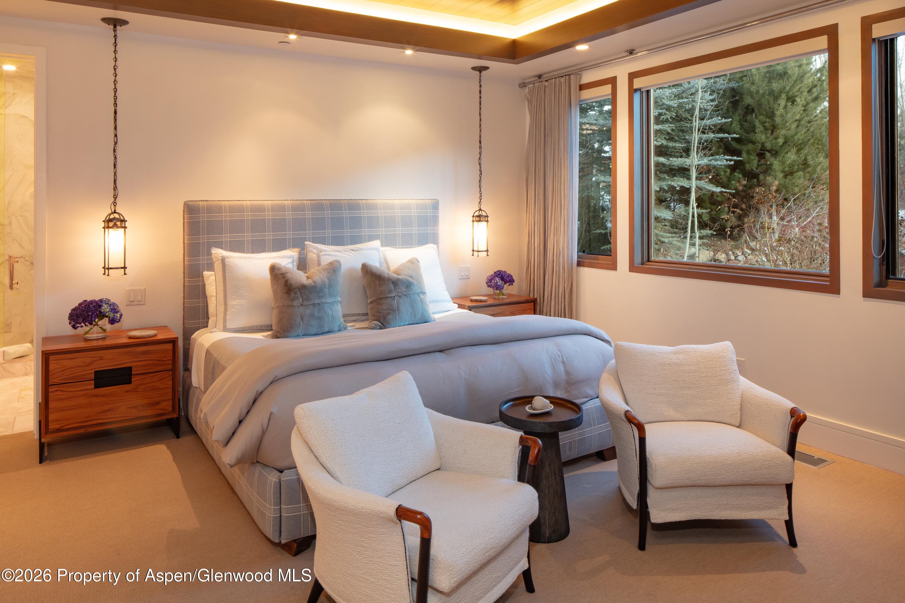 523 Walnut Street A, Aspen, CO 81611 - Photo 11