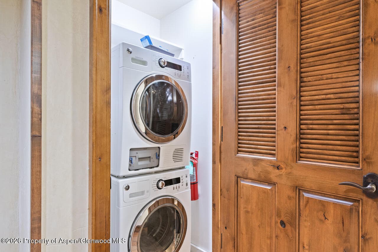 415 E Dean St., Unit 33, Week 32, Aspen, CO 81611 - Photo 31