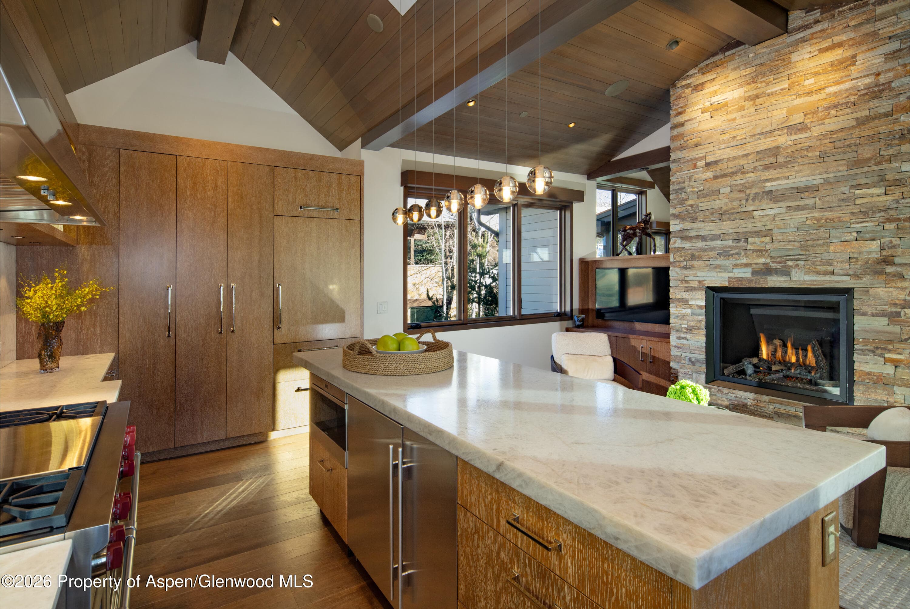523 Walnut Street A, Aspen, CO 81611 - Photo 6