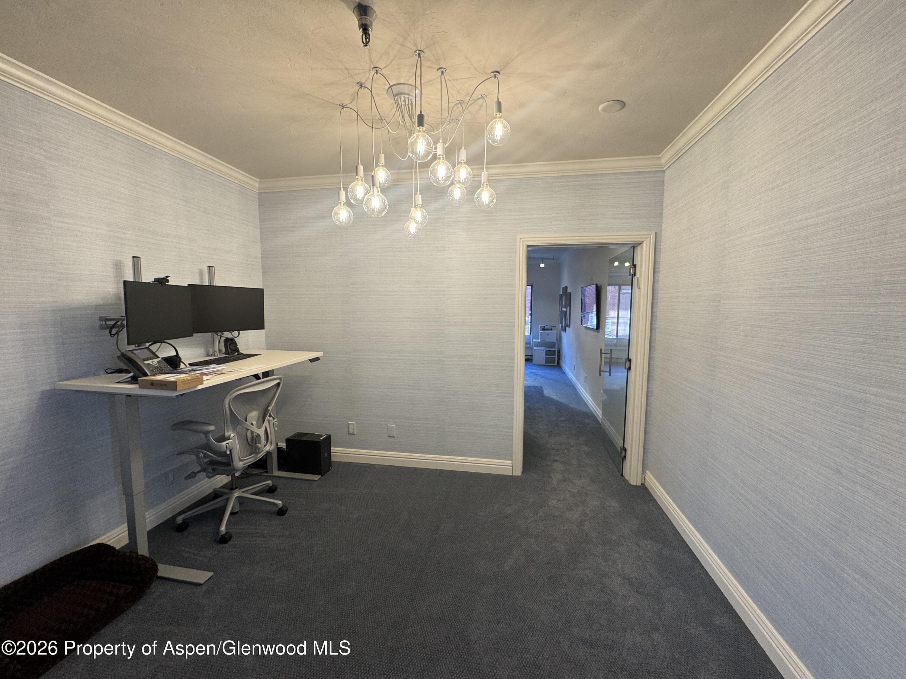 533 E Hopkins Avenue 102, Aspen, CO 81611 - Photo 2