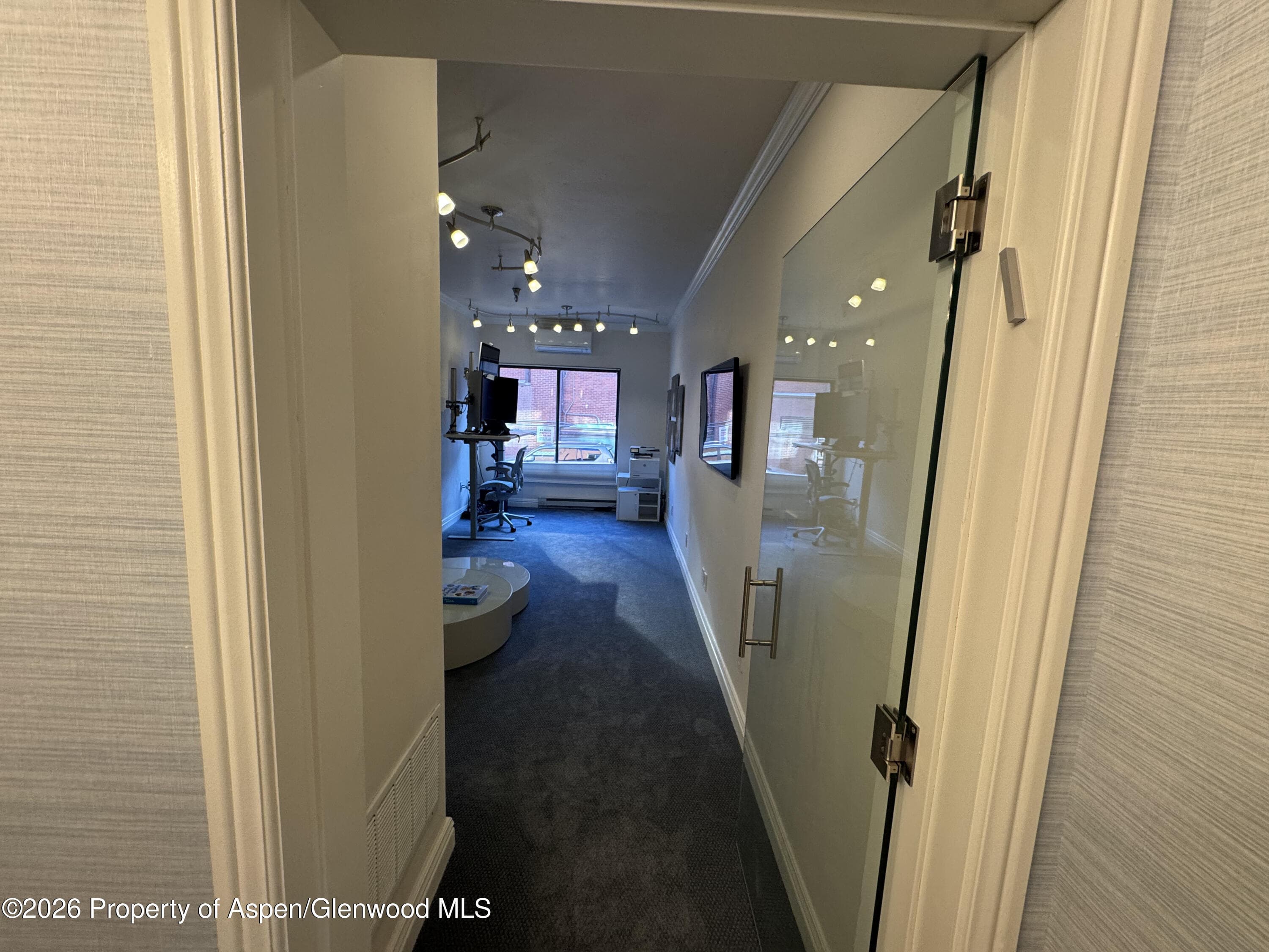 533 E Hopkins Avenue 102, Aspen, CO 81611 - Photo 4