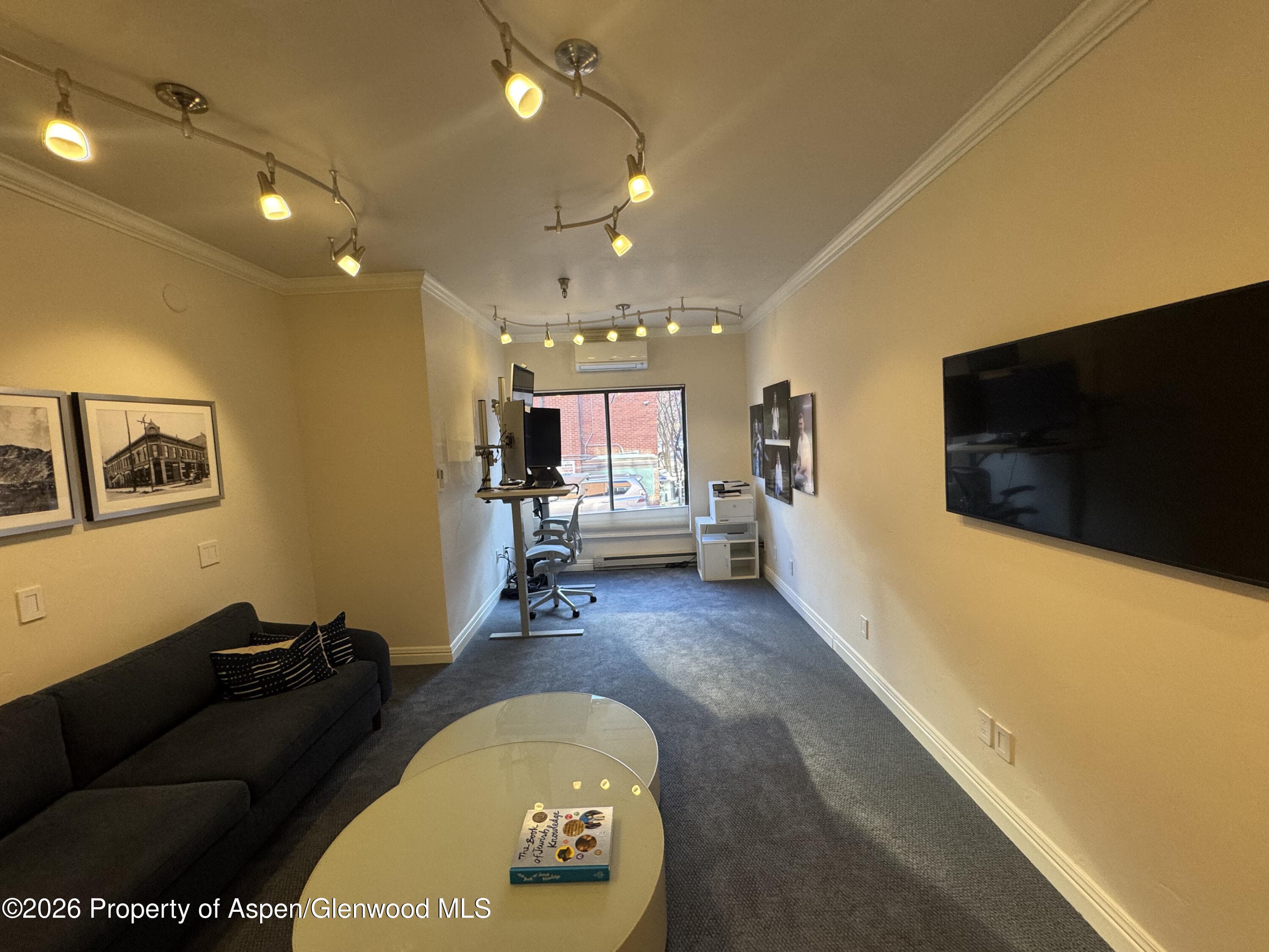 533 E Hopkins Avenue 102, Aspen, CO 81611 - Photo 5