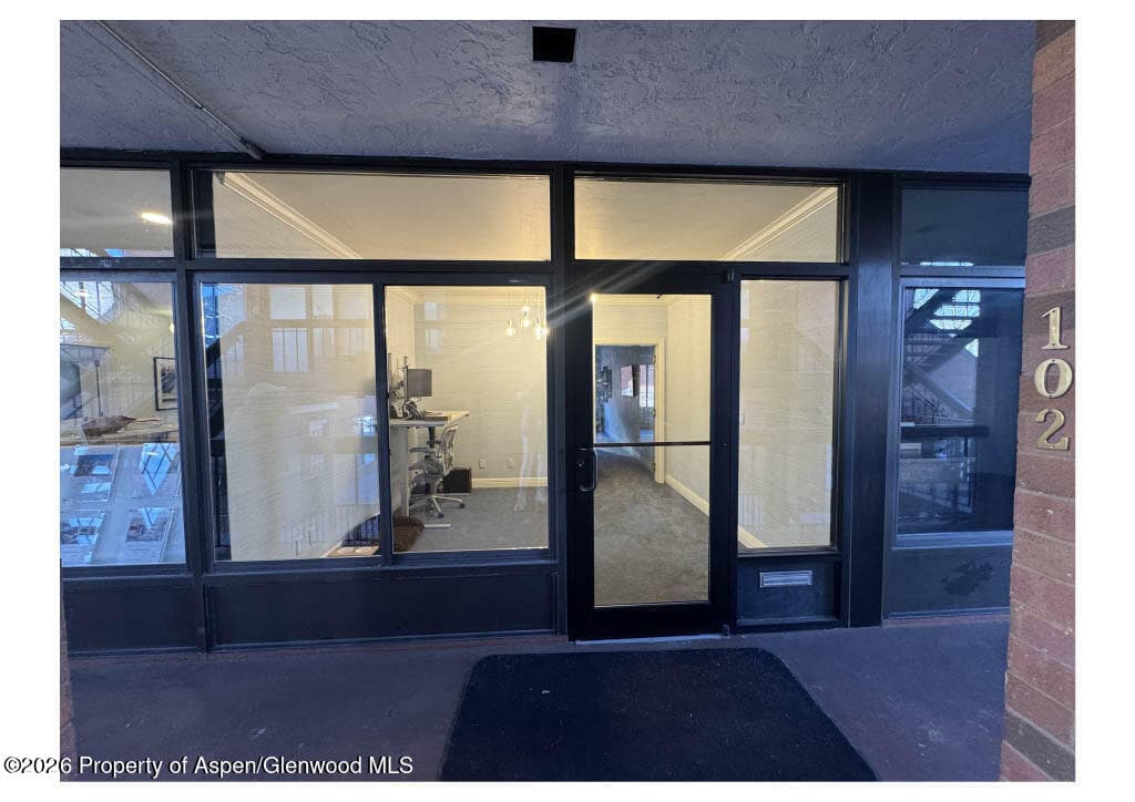 533 E Hopkins Avenue 102, Aspen, CO 81611