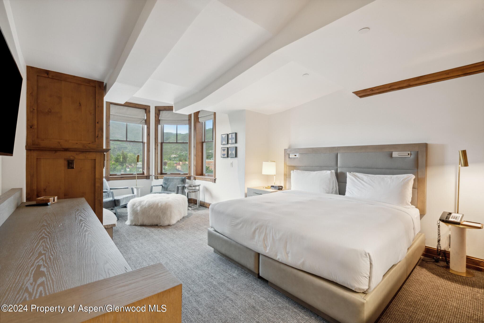 415 E Dean St., Unit 28, Week 34, Aspen, CO 81611 - Photo 9