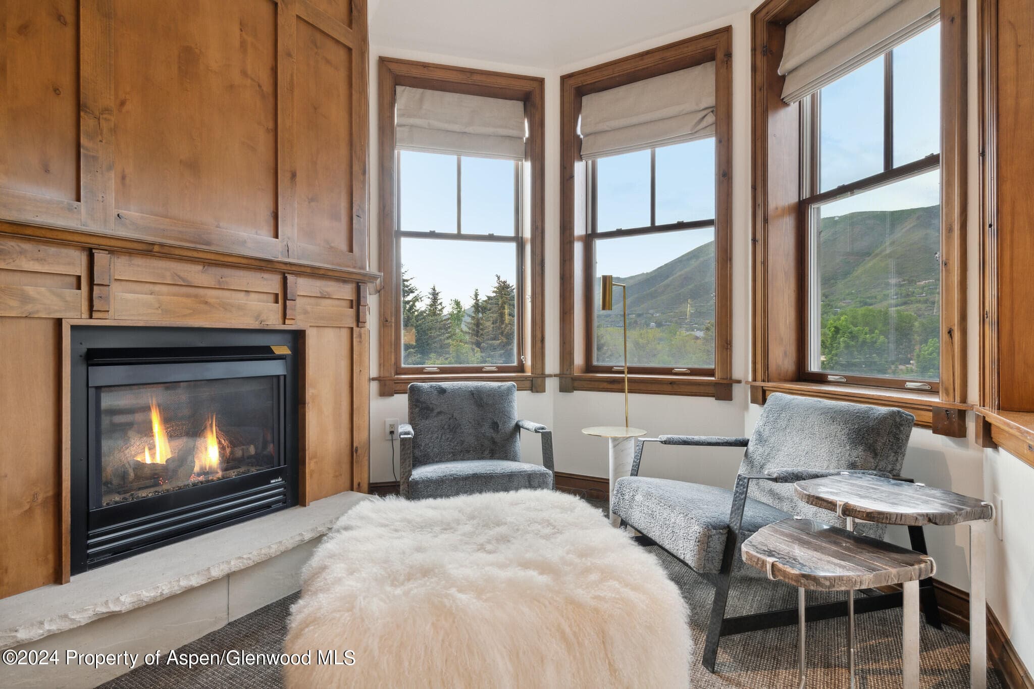 415 E Dean St., Unit 28, Week 34, Aspen, CO 81611 - Photo 12