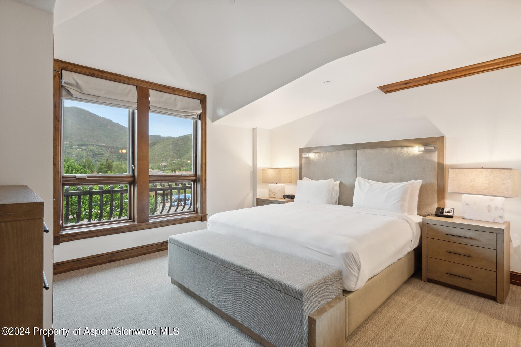 415 E Dean St., Unit 28, Week 34, Aspen, CO 81611 - Photo 14
