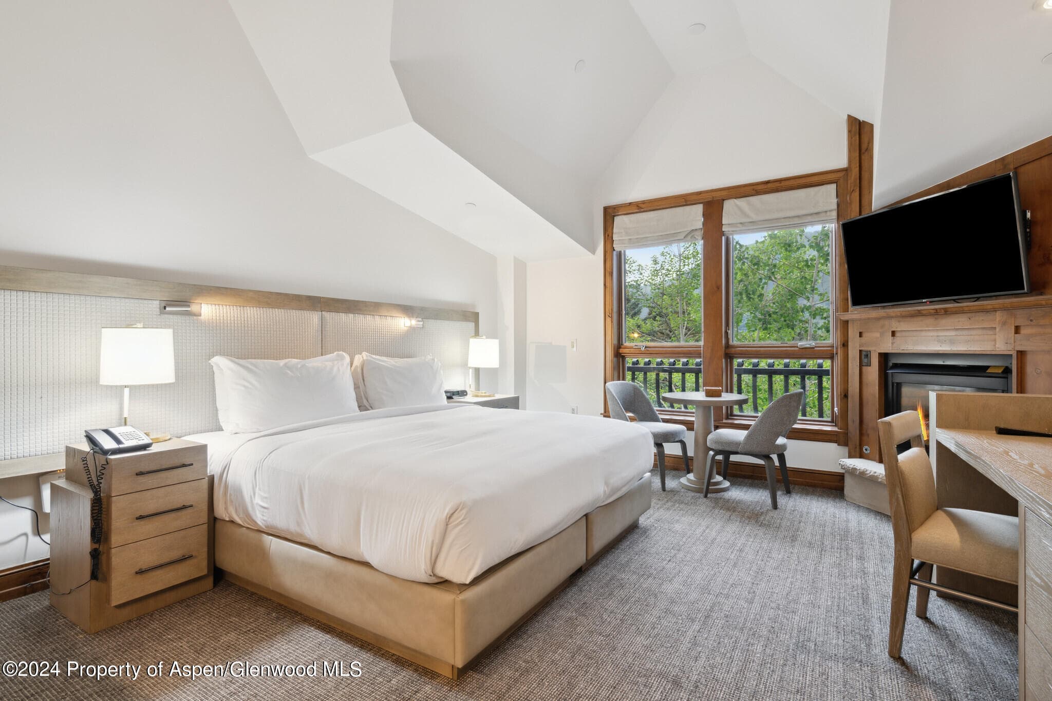 415 E Dean St., Unit 28, Week 34, Aspen, CO 81611 - Photo 17