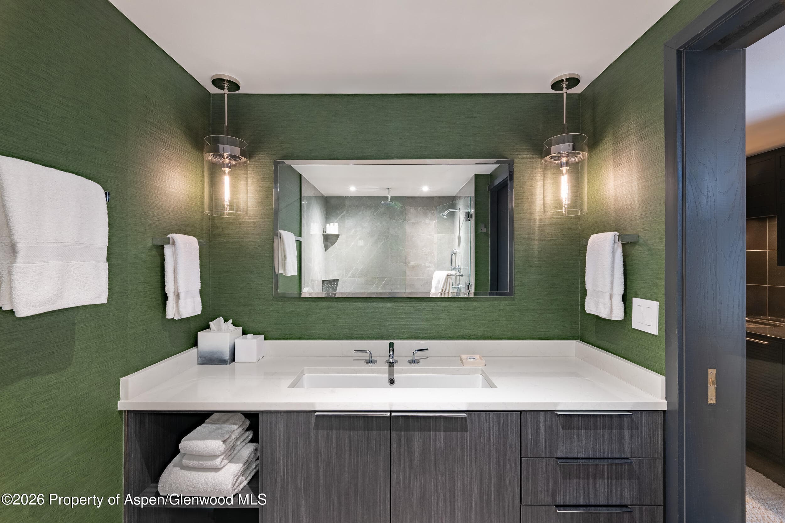 130 Wood Road 542, Snowmass Village, CO 81615 - Photo 16