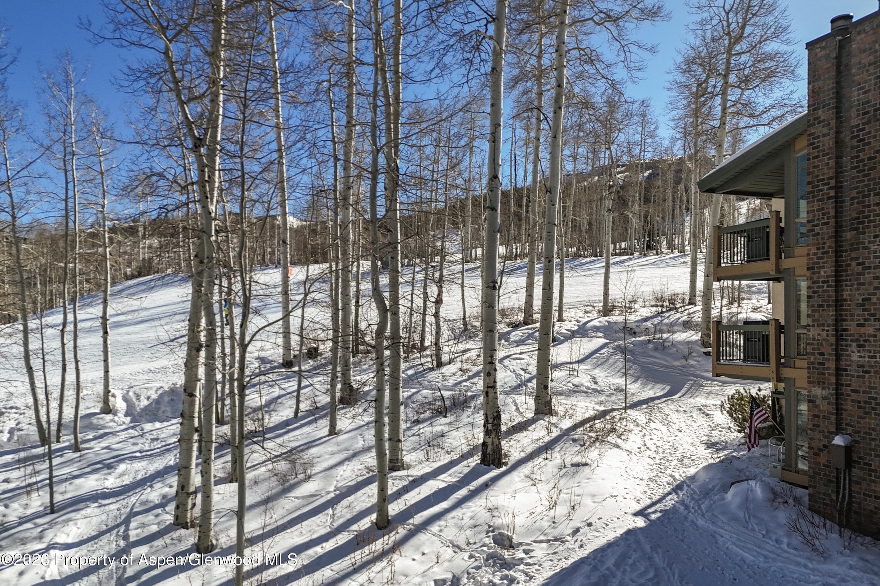 855 Carriage Way Slope 102, Snowmass Village, CO 81615 - Photo 22