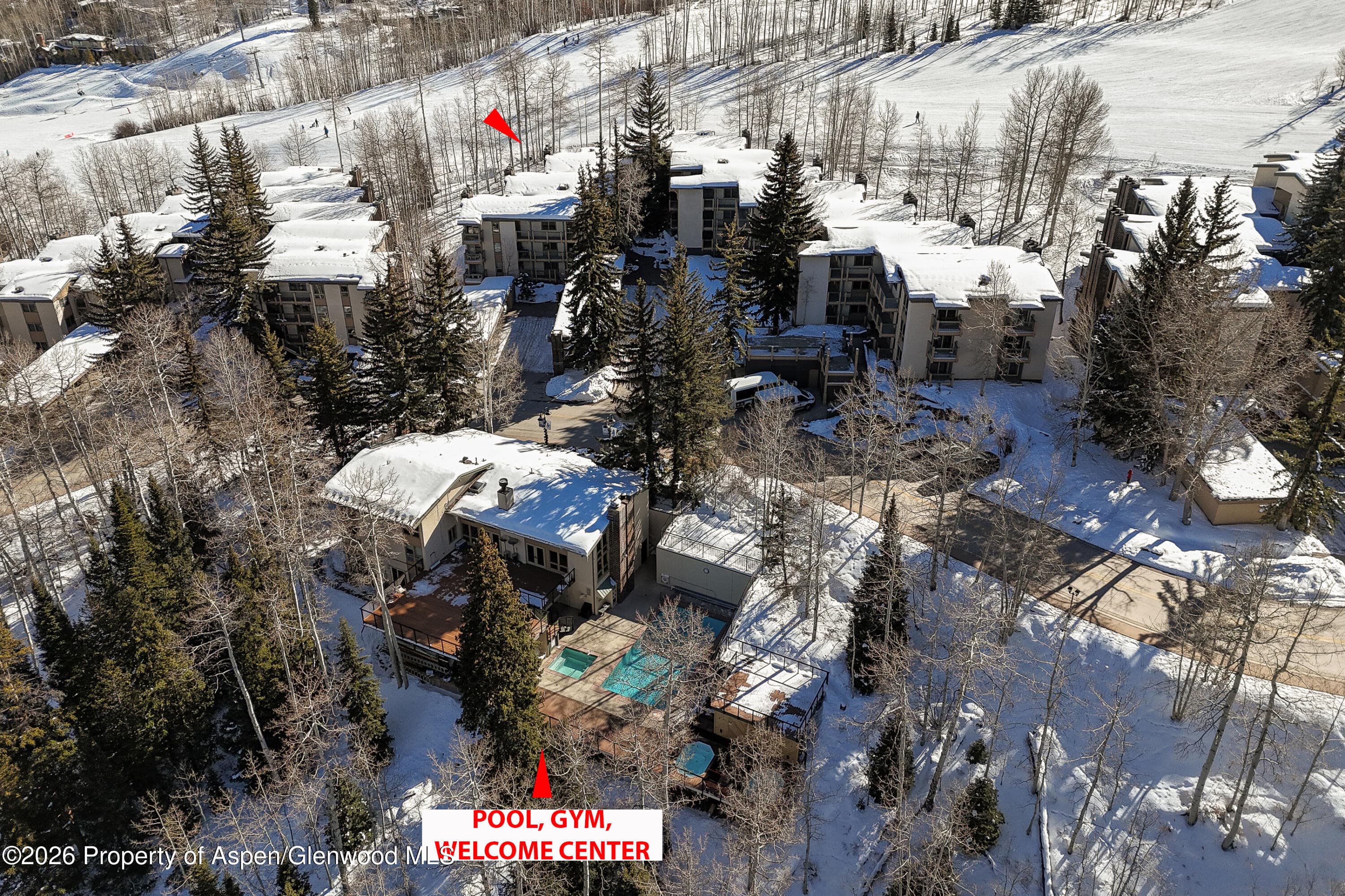 855 Carriage Way Slope 102, Snowmass Village, CO 81615 - Photo 5