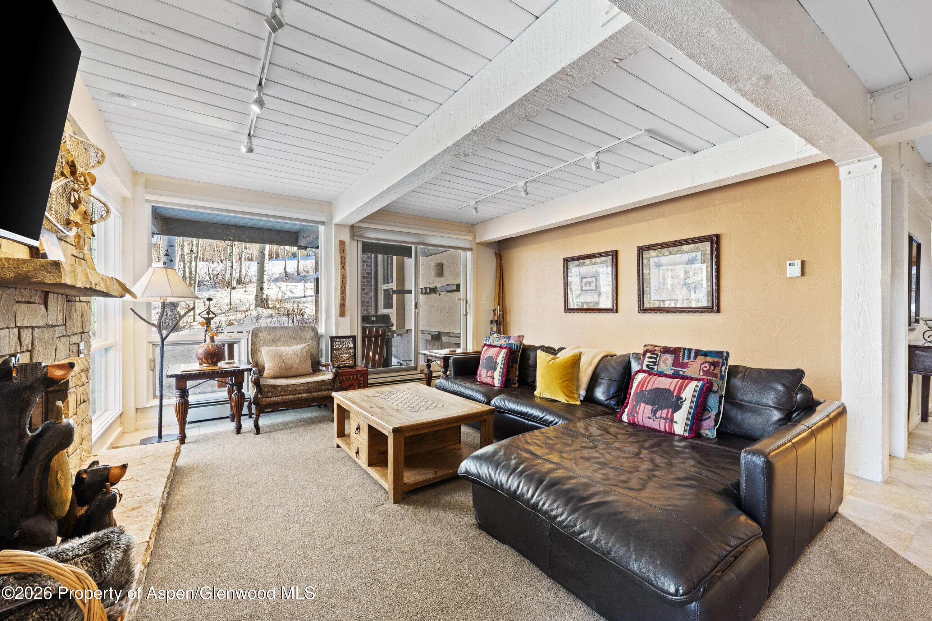 855 Carriage Way Slope 102, Snowmass Village, CO 81615 - Photo 11