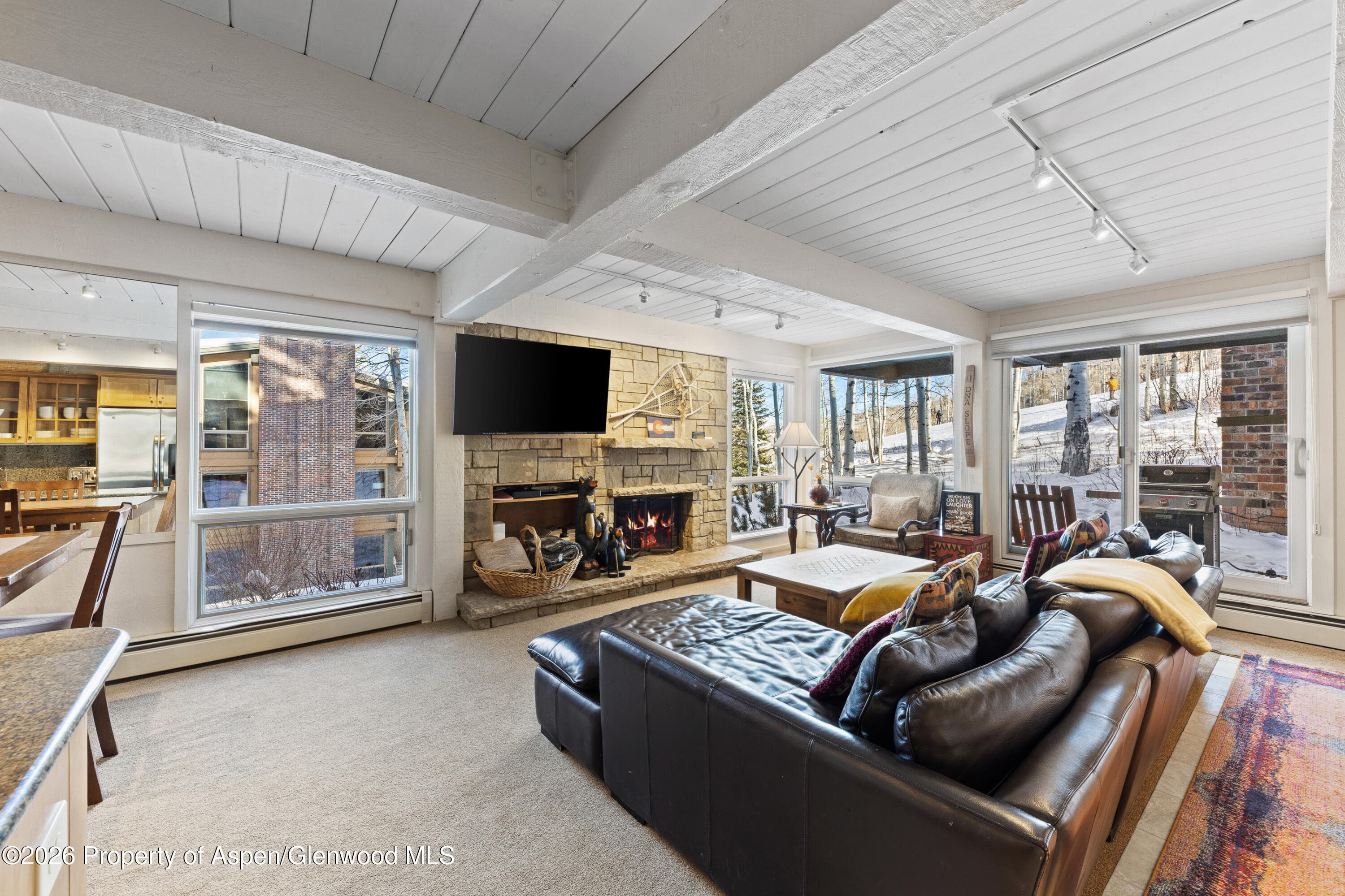 855 Carriage Way Slope 102, Snowmass Village, CO 81615 - Photo 12