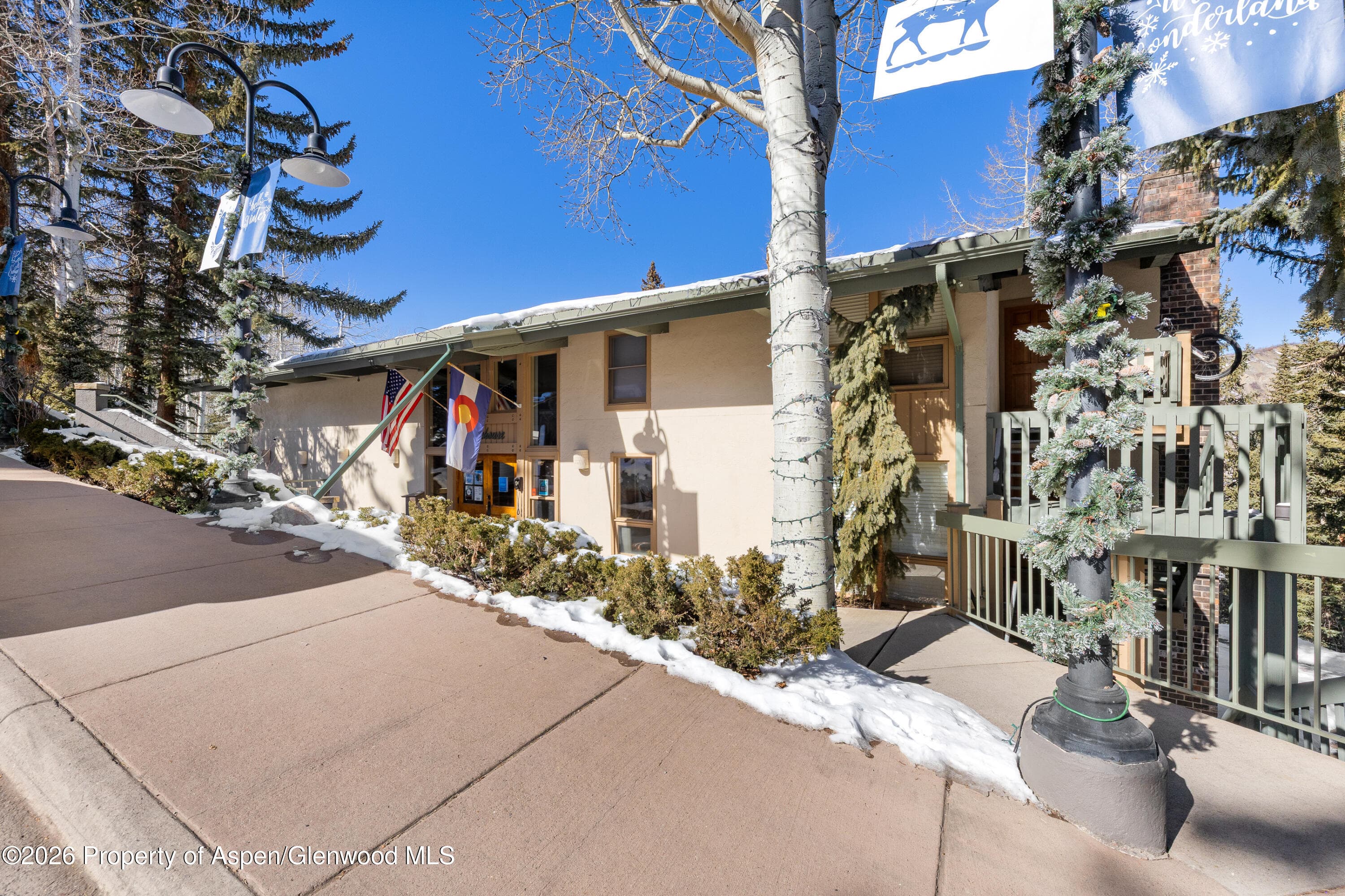 855 Carriage Way Slope 102, Snowmass Village, CO 81615 - Photo 42
