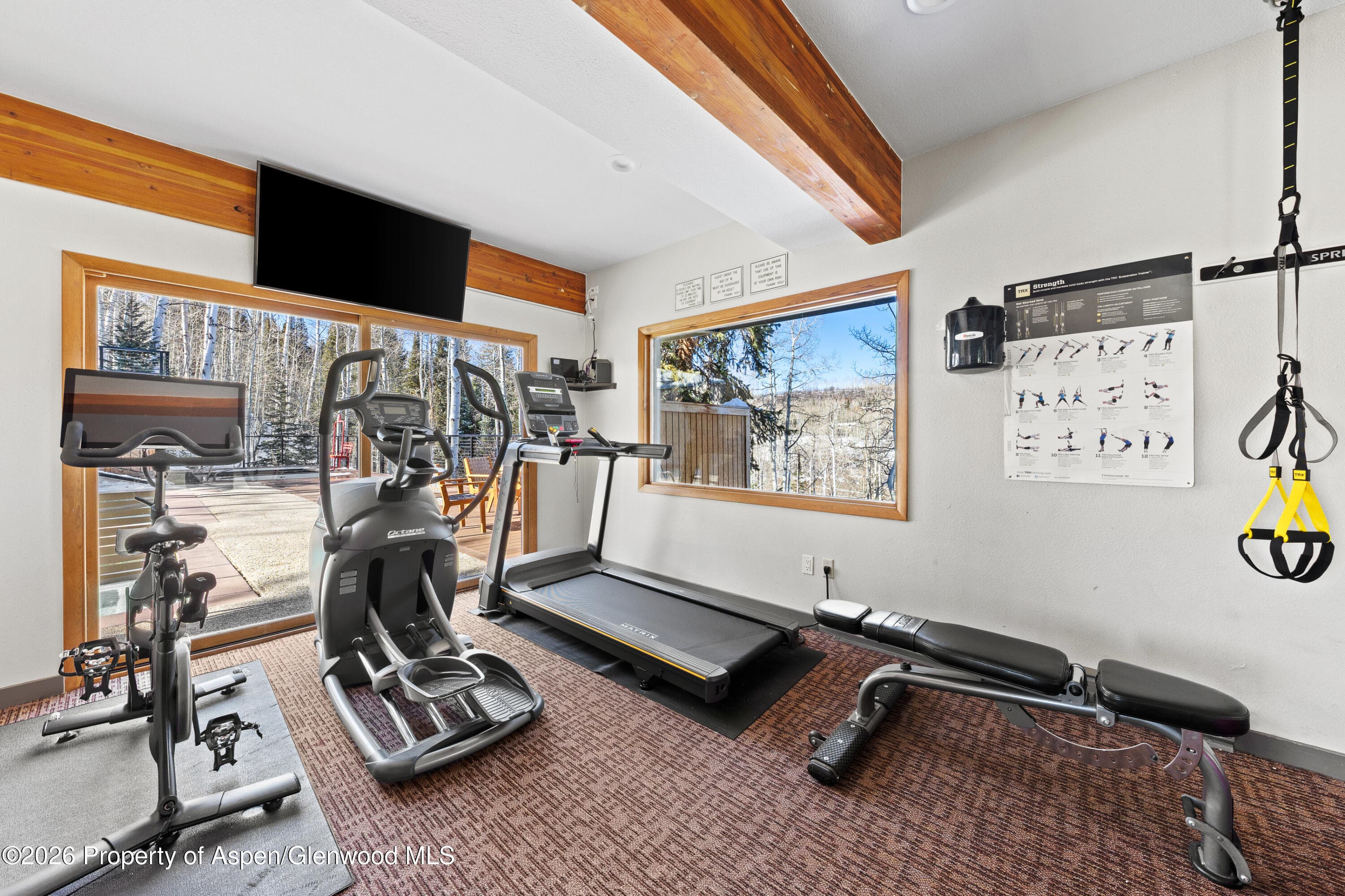 855 Carriage Way Slope 102, Snowmass Village, CO 81615 - Photo 46