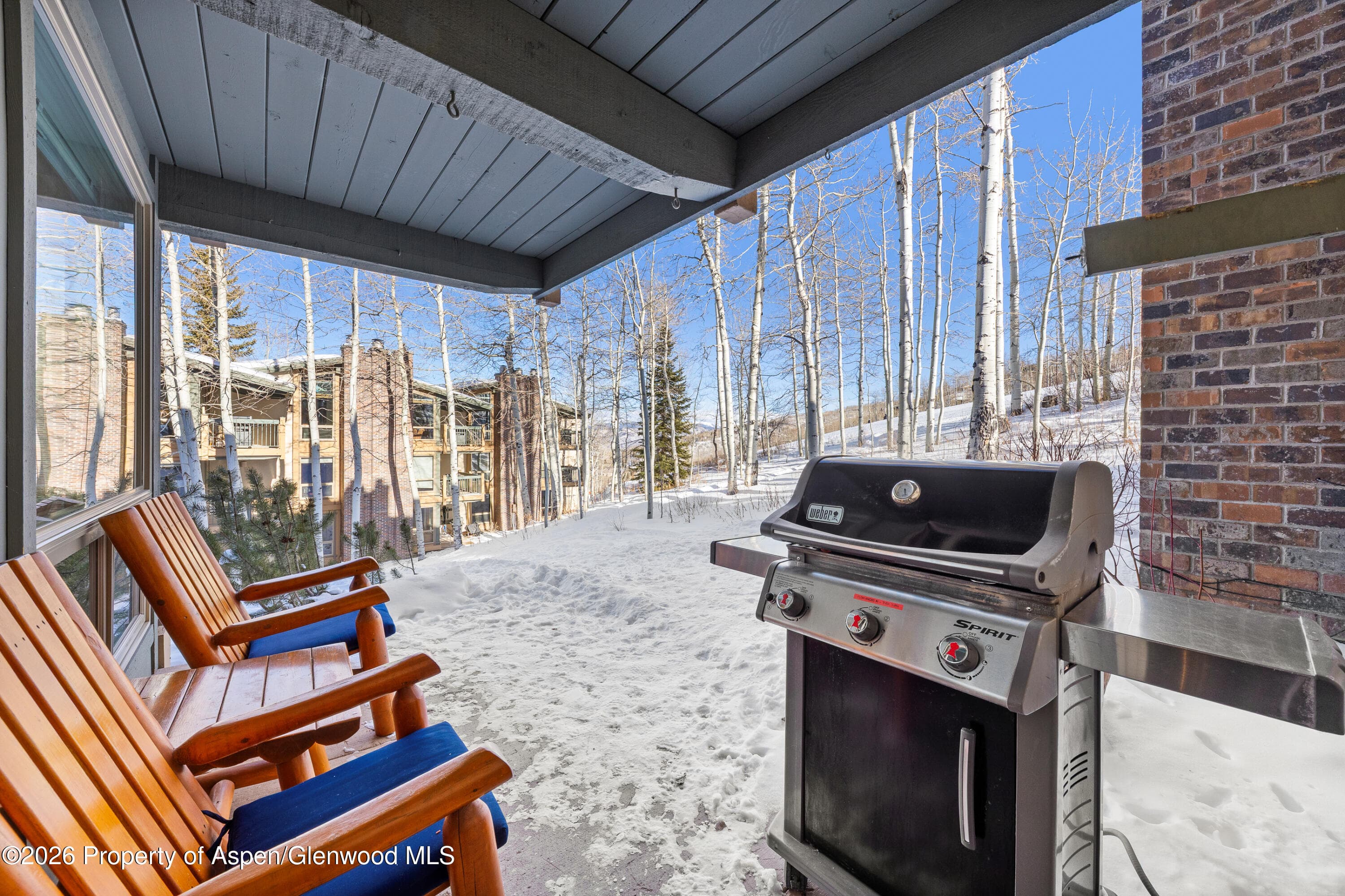 855 Carriage Way Slope 102, Snowmass Village, CO 81615 - Photo 24