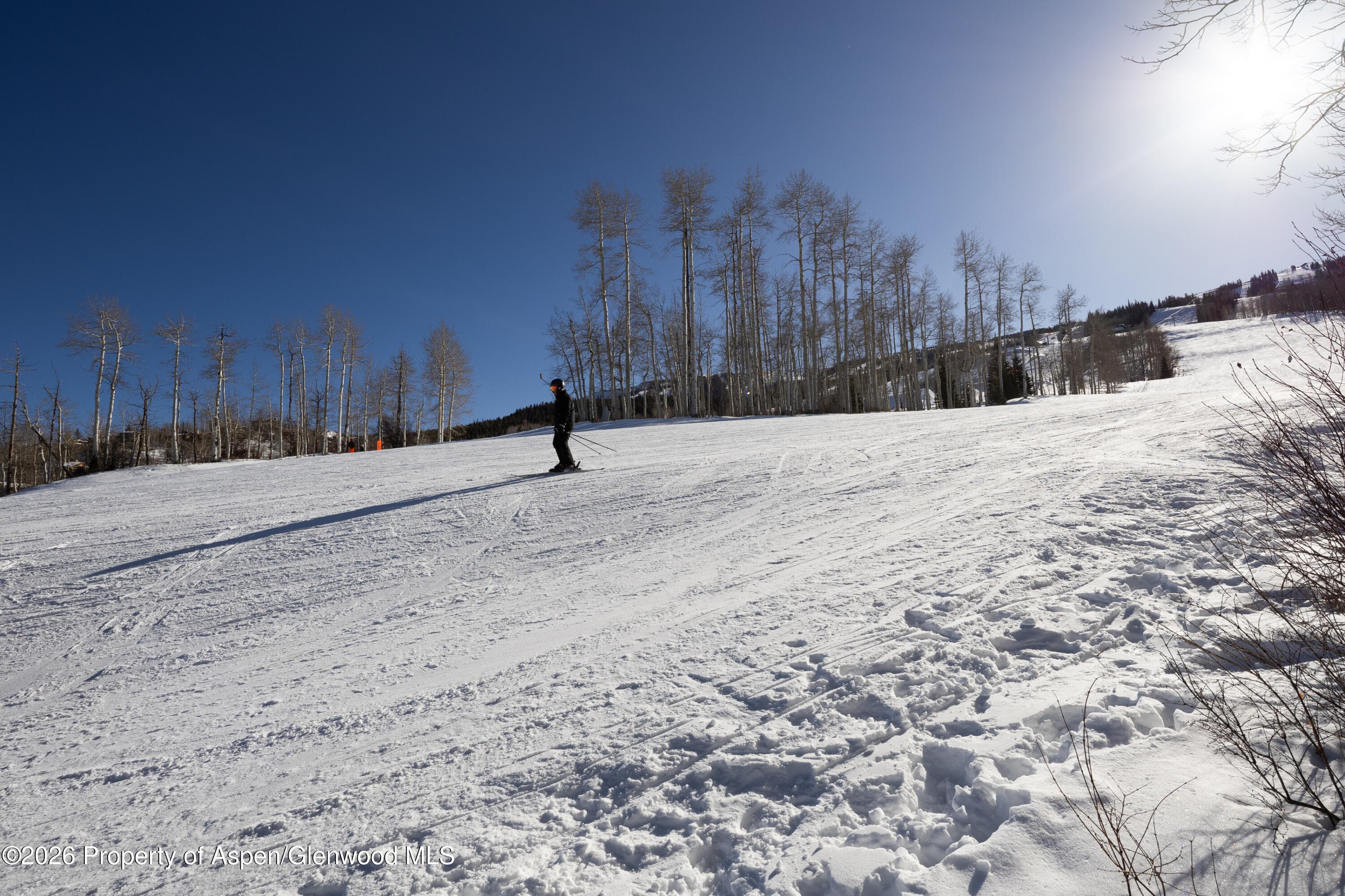 855 Carriage Way Slope 102, Snowmass Village, CO 81615 - Photo 26