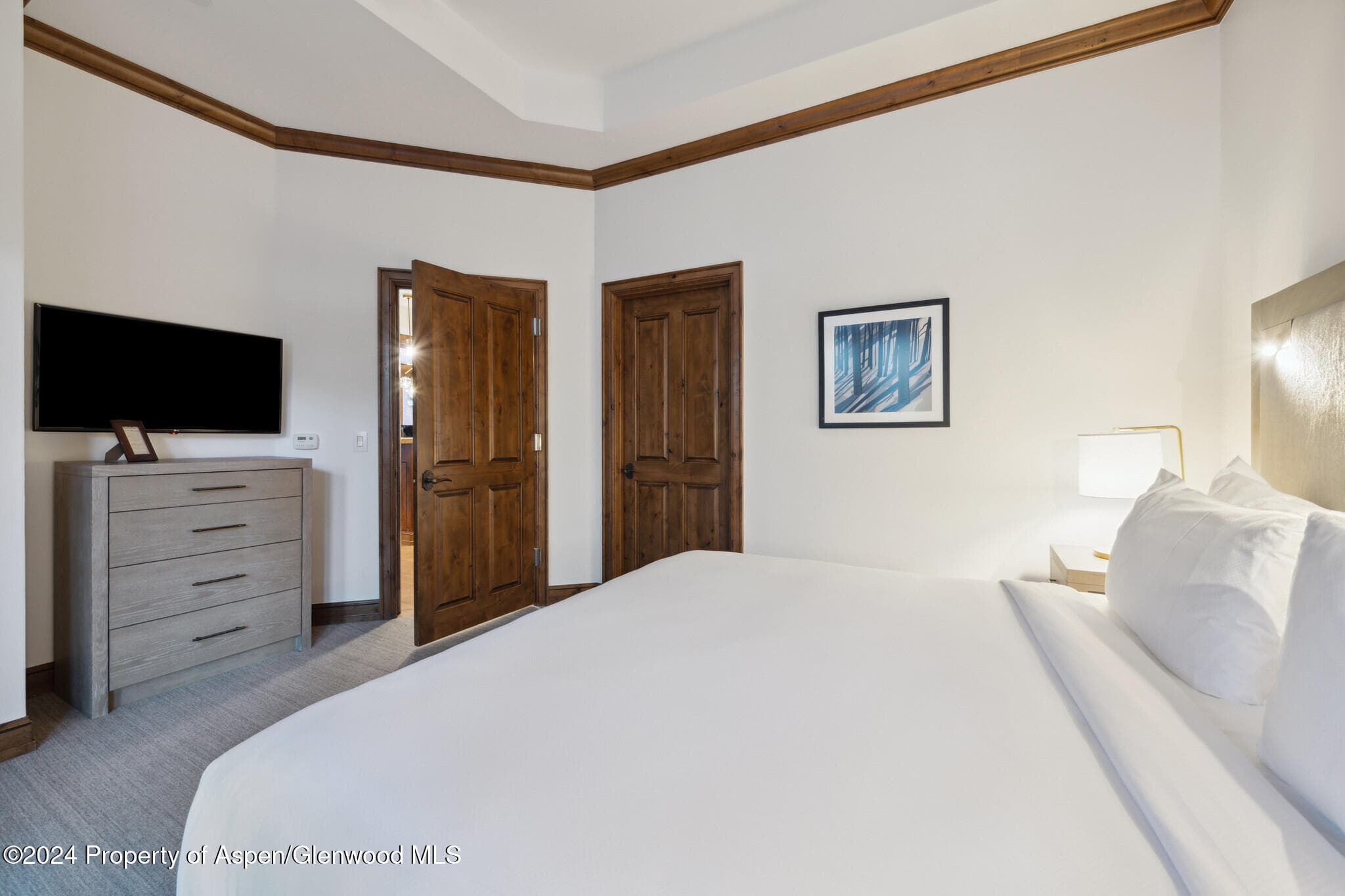 415 E Dean St, Unit 3 Week 8, Aspen, CO 81611 - Photo 10