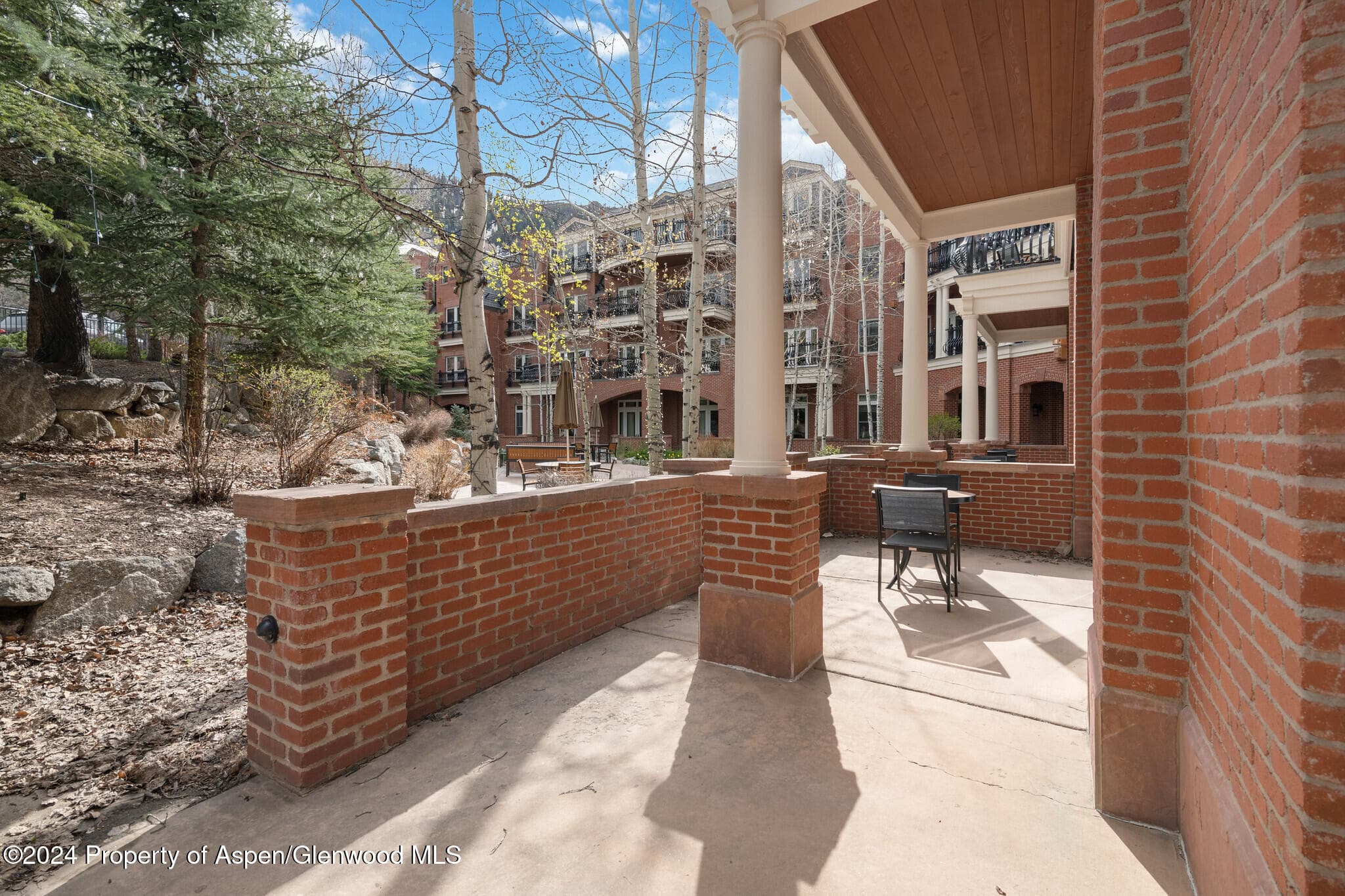 415 E Dean St, Unit 3 Week 8, Aspen, CO 81611 - Photo 11