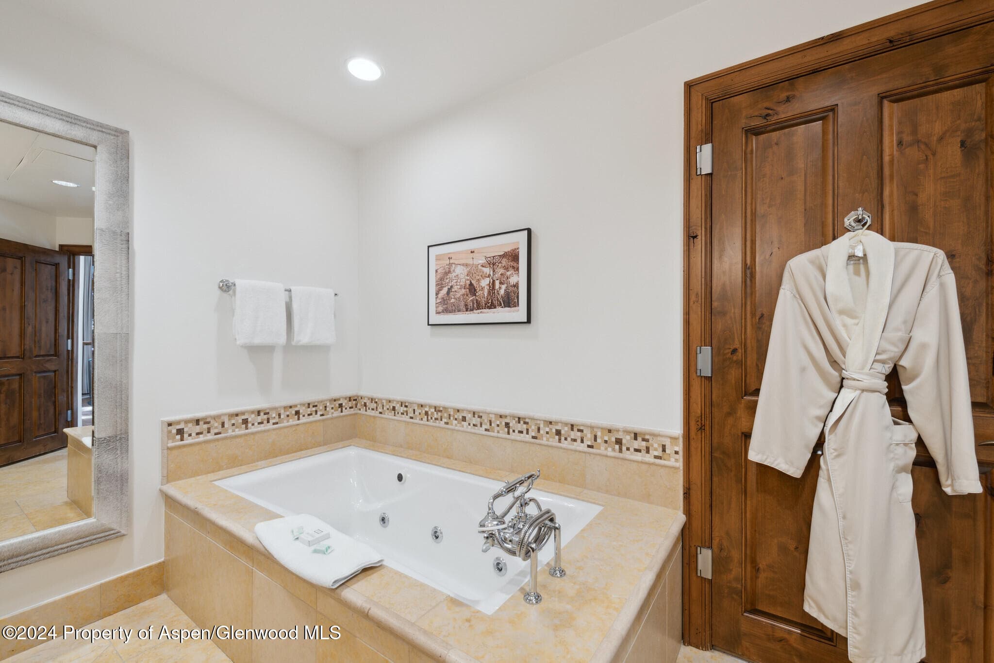 415 E Dean St, Unit 3 Week 8, Aspen, CO 81611 - Photo 12