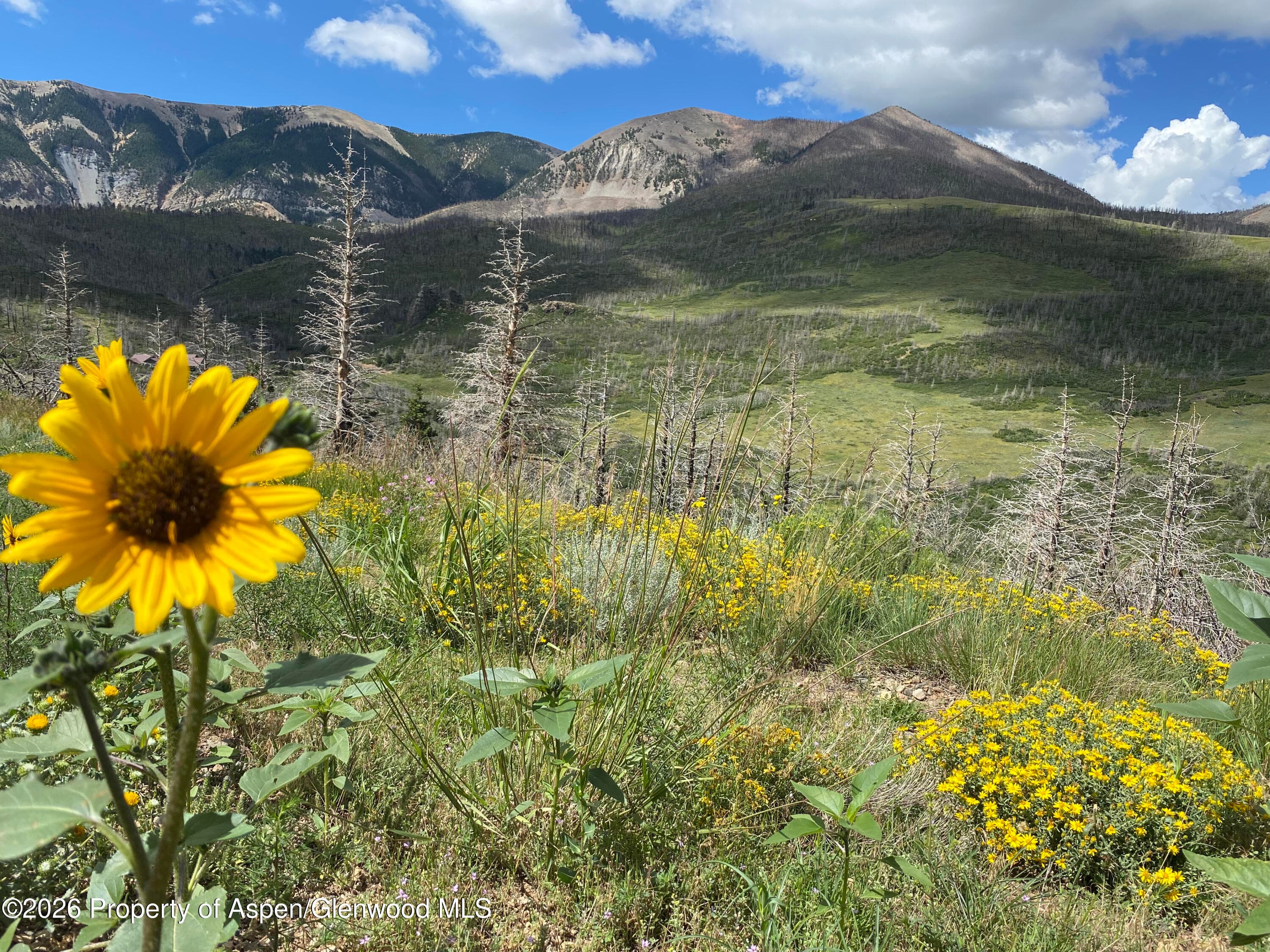 1833 Yellowstone Creek Road, La Veta, CO 81055 - Photo 40