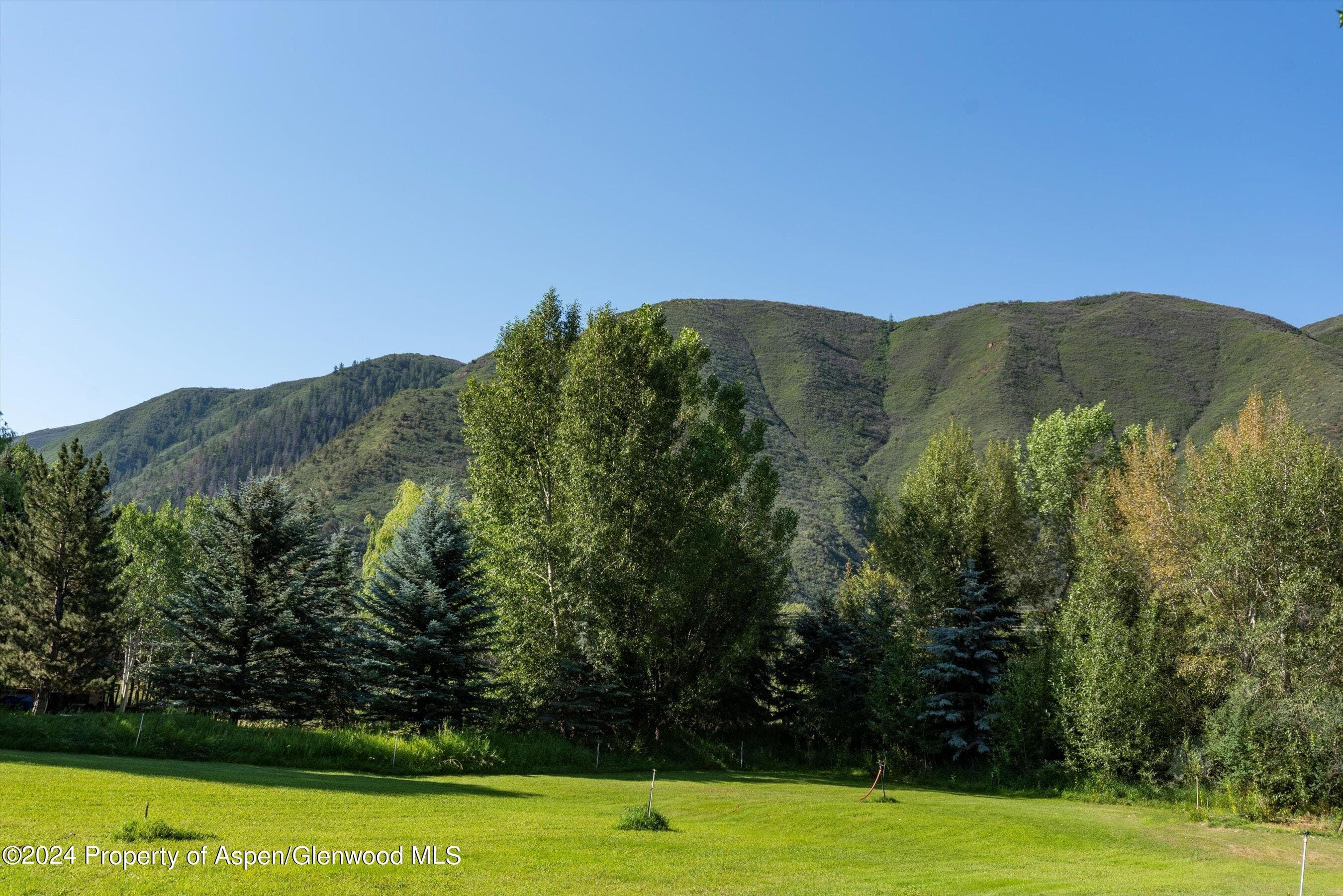 22 Bishop Drive, Basalt, CO 81621 - Photo 10
