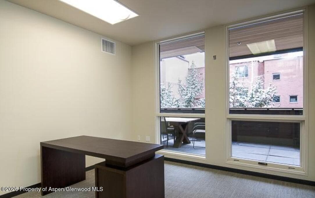 625 E Main Street 204, Aspen, CO 81611 - Photo 12