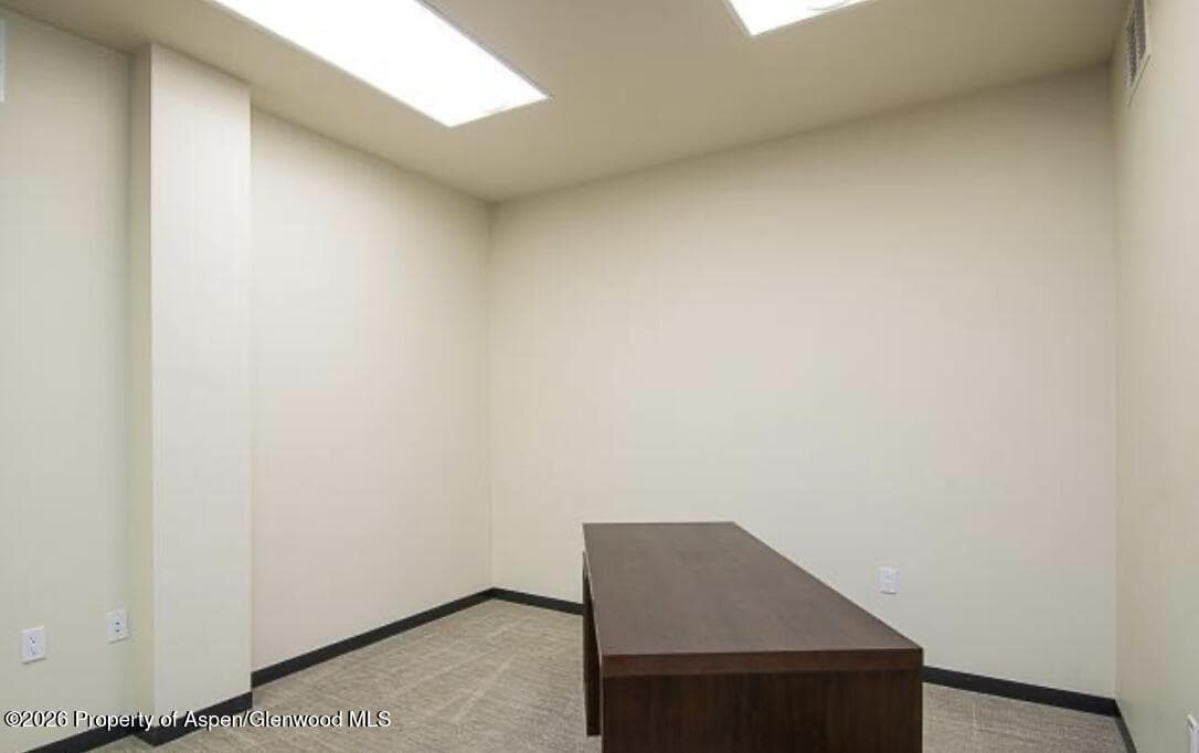 625 E Main Street 204, Aspen, CO 81611 - Photo 13