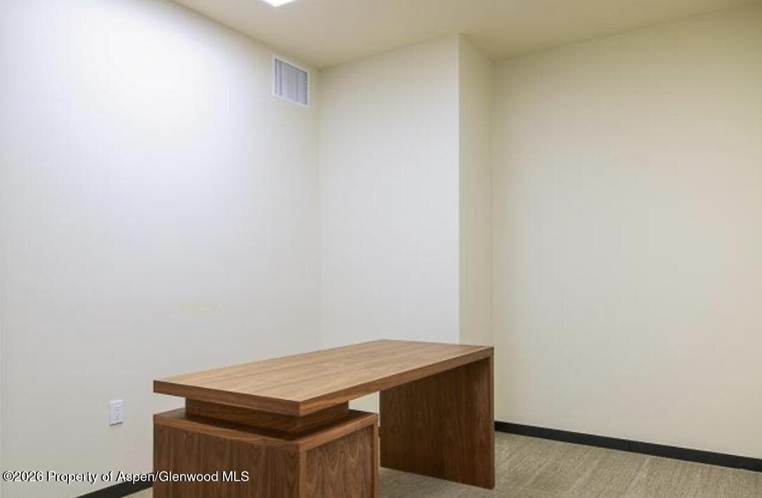 625 E Main Street 204, Aspen, CO 81611 - Photo 14