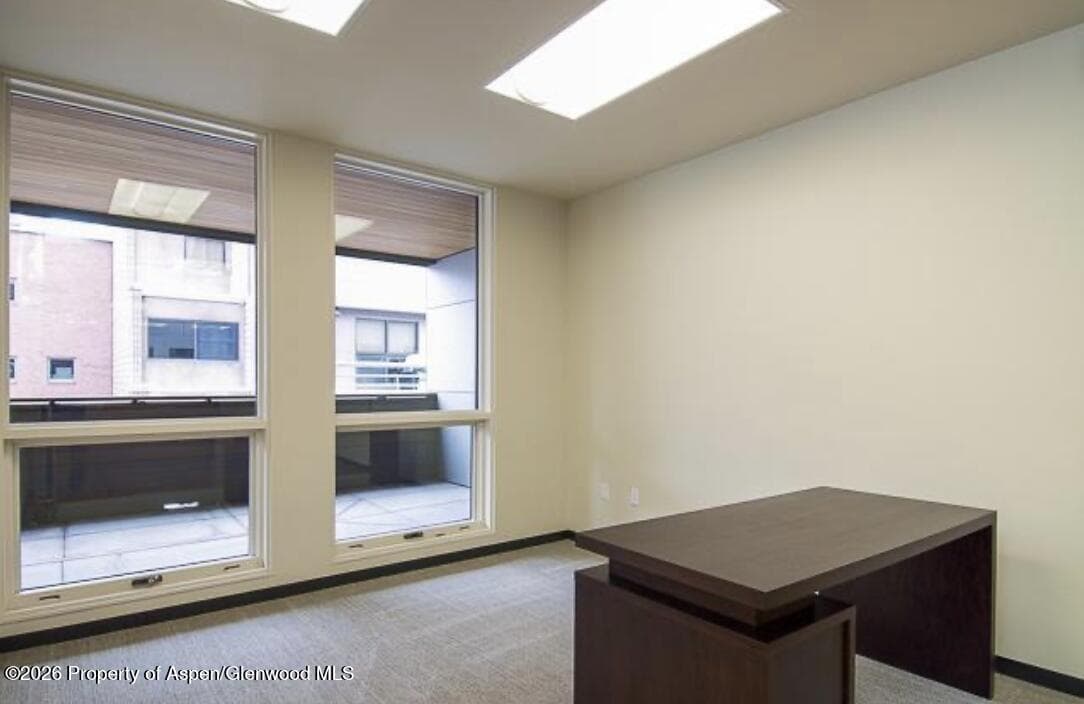 625 E Main Street 204, Aspen, CO 81611 - Photo 11