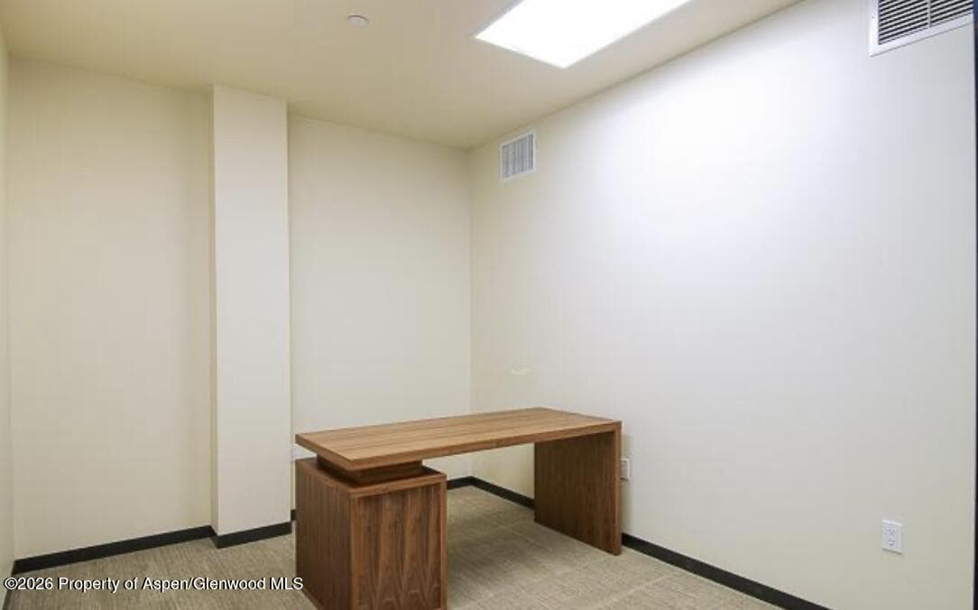 625 E Main Street 204, Aspen, CO 81611 - Photo 15