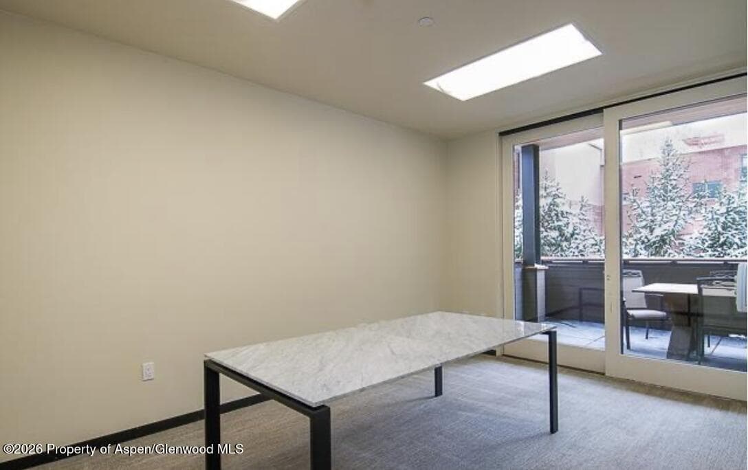 625 E Main Street 204, Aspen, CO 81611 - Photo 10