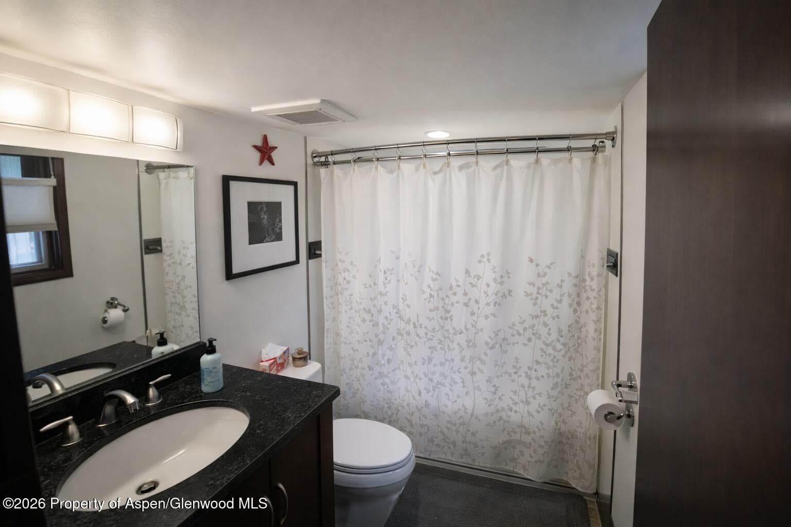 409 Park Circle 2, Aspen, CO 81611 - Photo 9