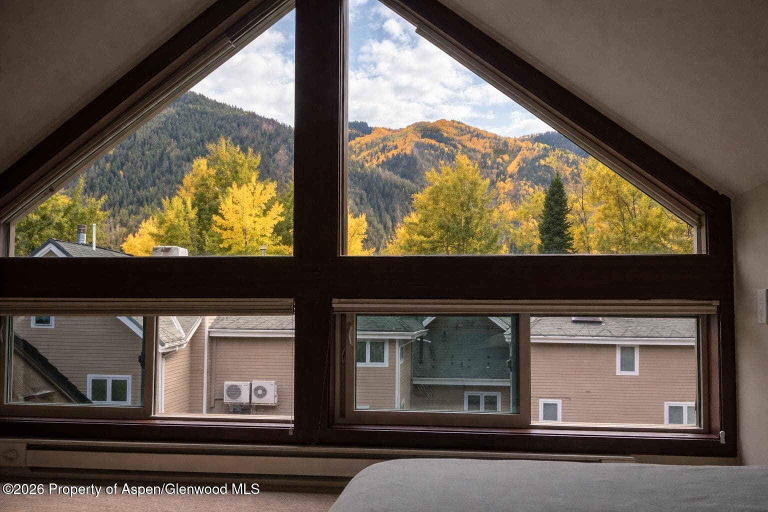 409 Park Circle 2, Aspen, CO 81611 - Photo 11