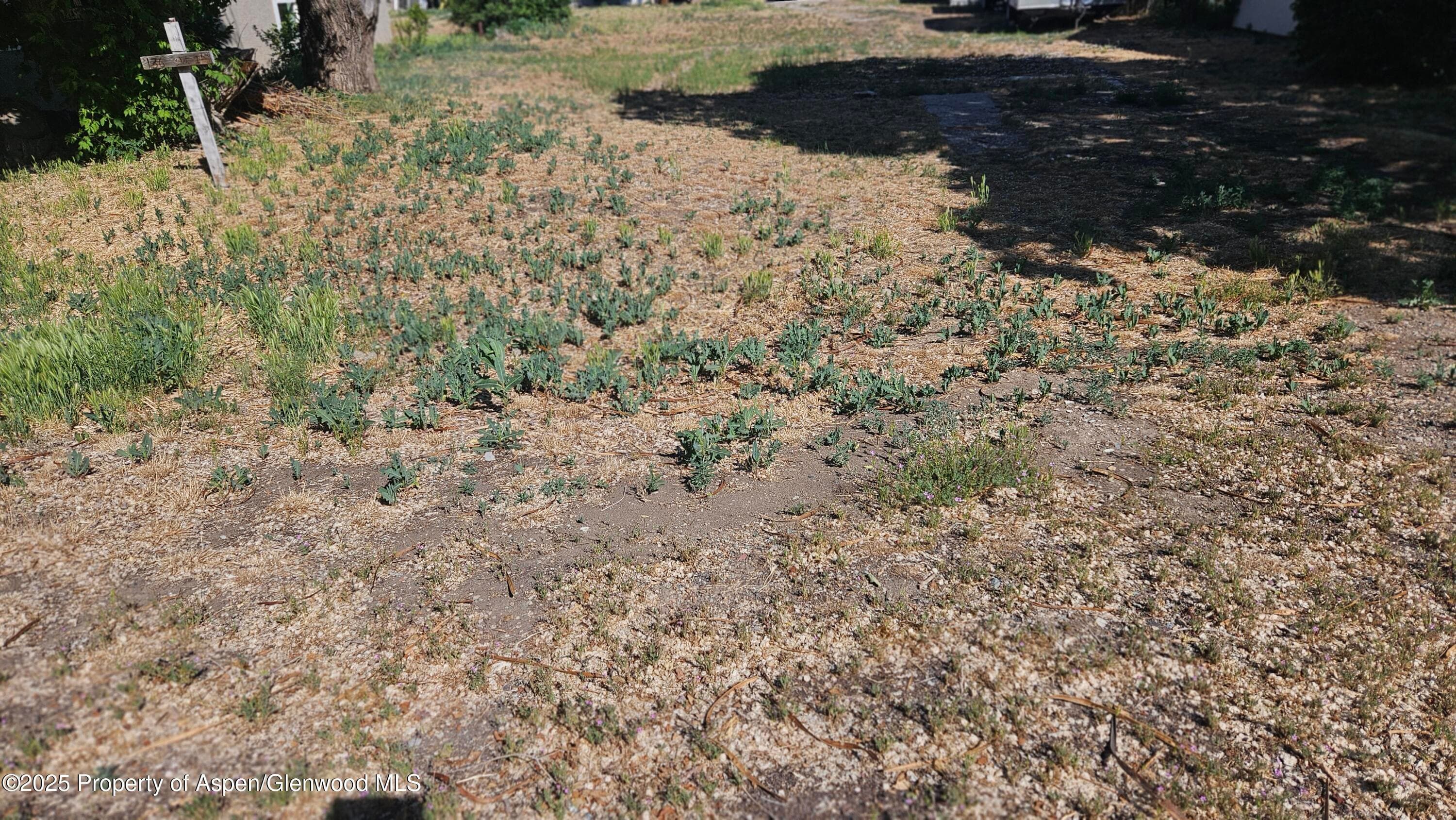 136 E 1st Street, Parachute, CO 81635 - Photo 3