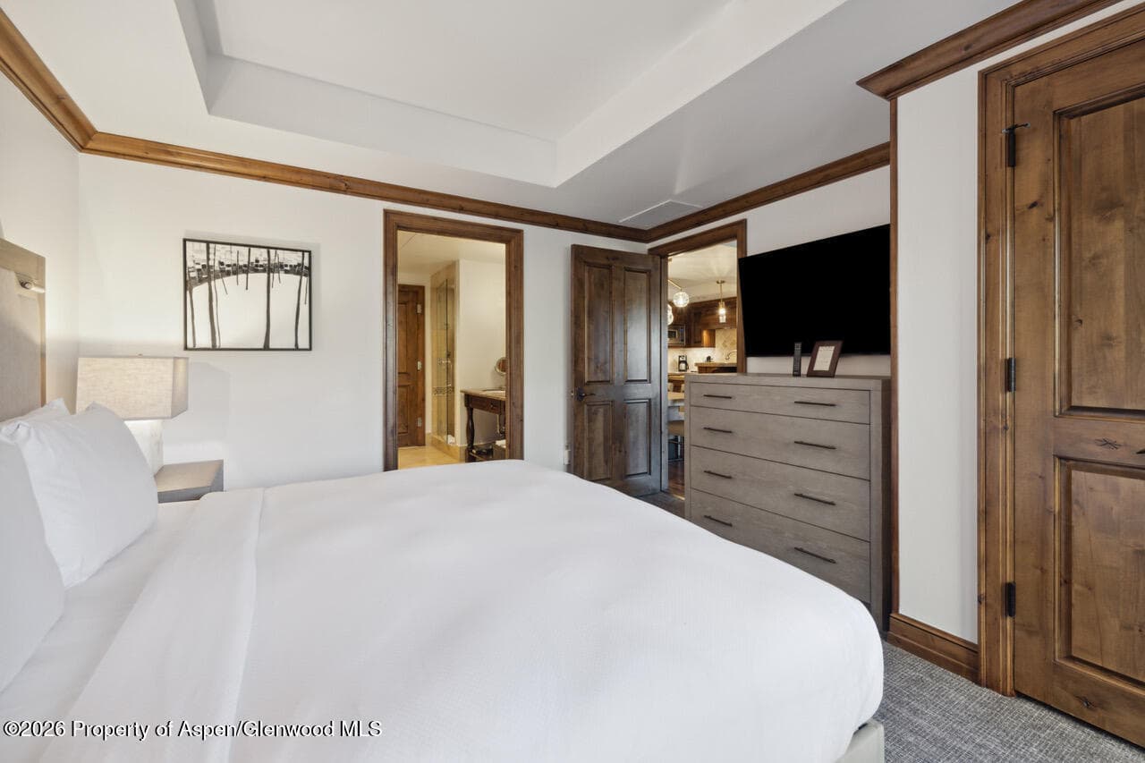 415 E Dean St., Unit 15, Weeks 51/52, Aspen, CO 81611 - Photo 11