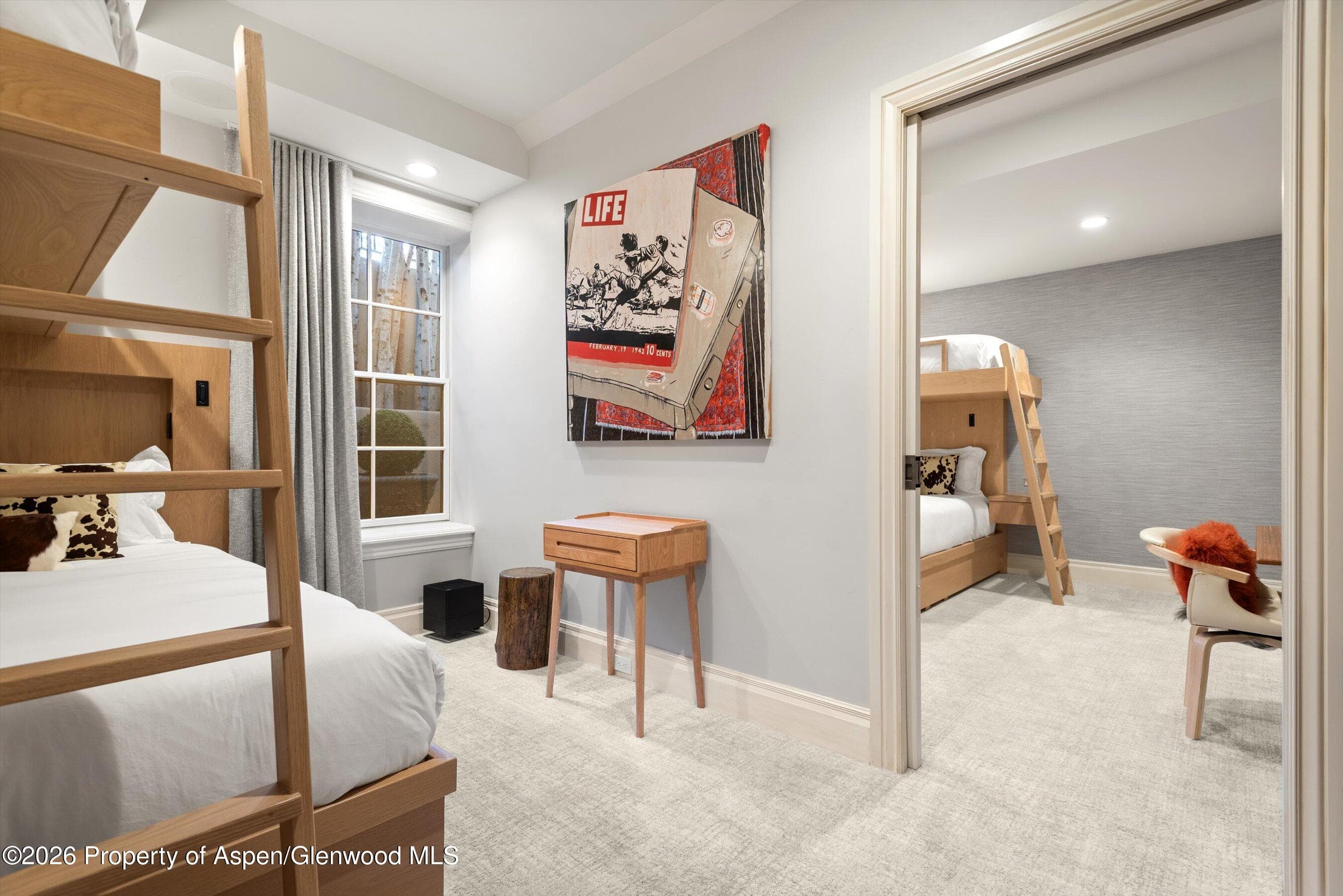 204 Oregon Trail, Aspen, CO 81611 - Photo 23