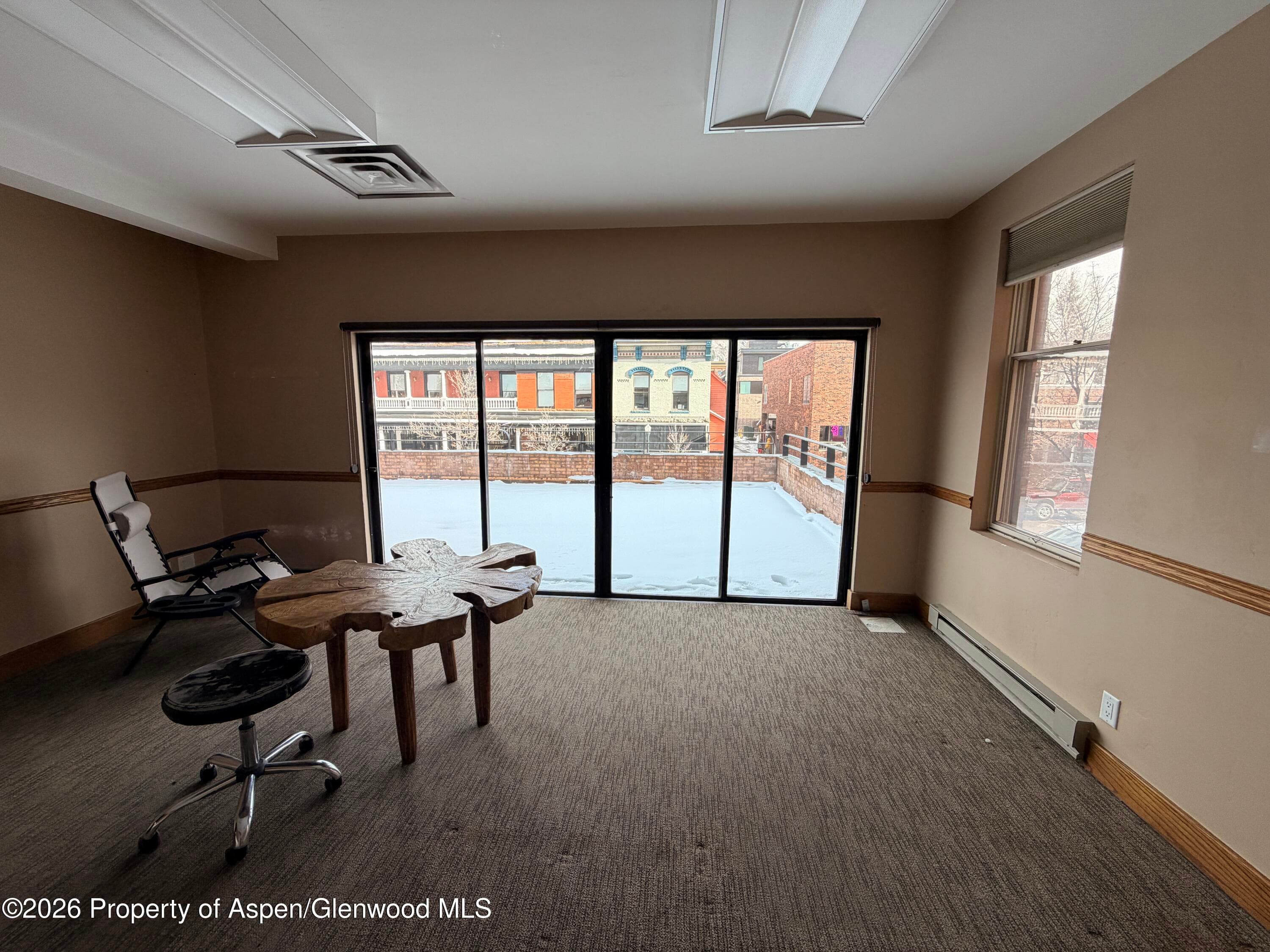 205 S Mill Street 301-A, Aspen, CO 81611 - Photo 8