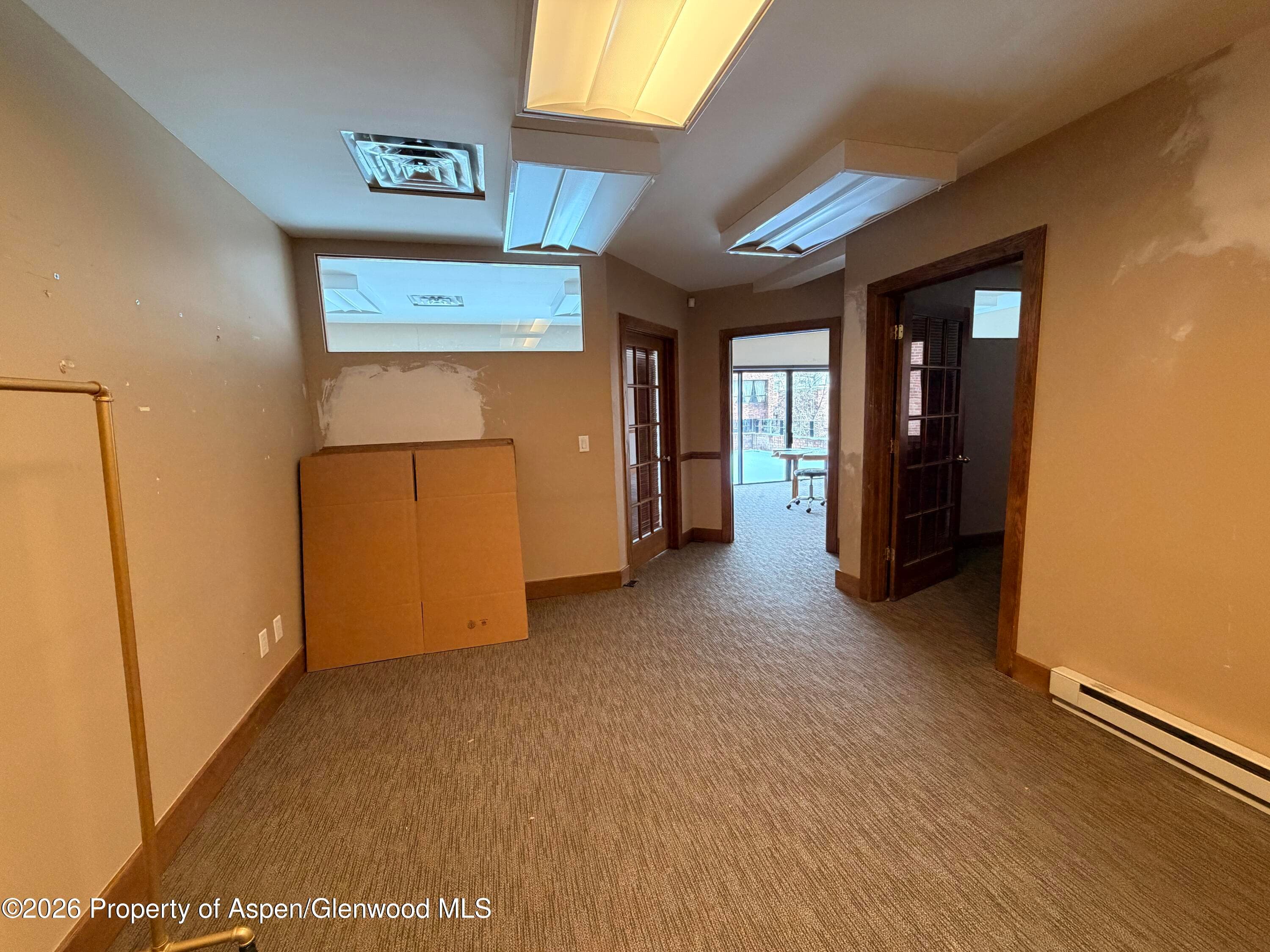 205 S Mill Street 301-A, Aspen, CO 81611 - Photo 11
