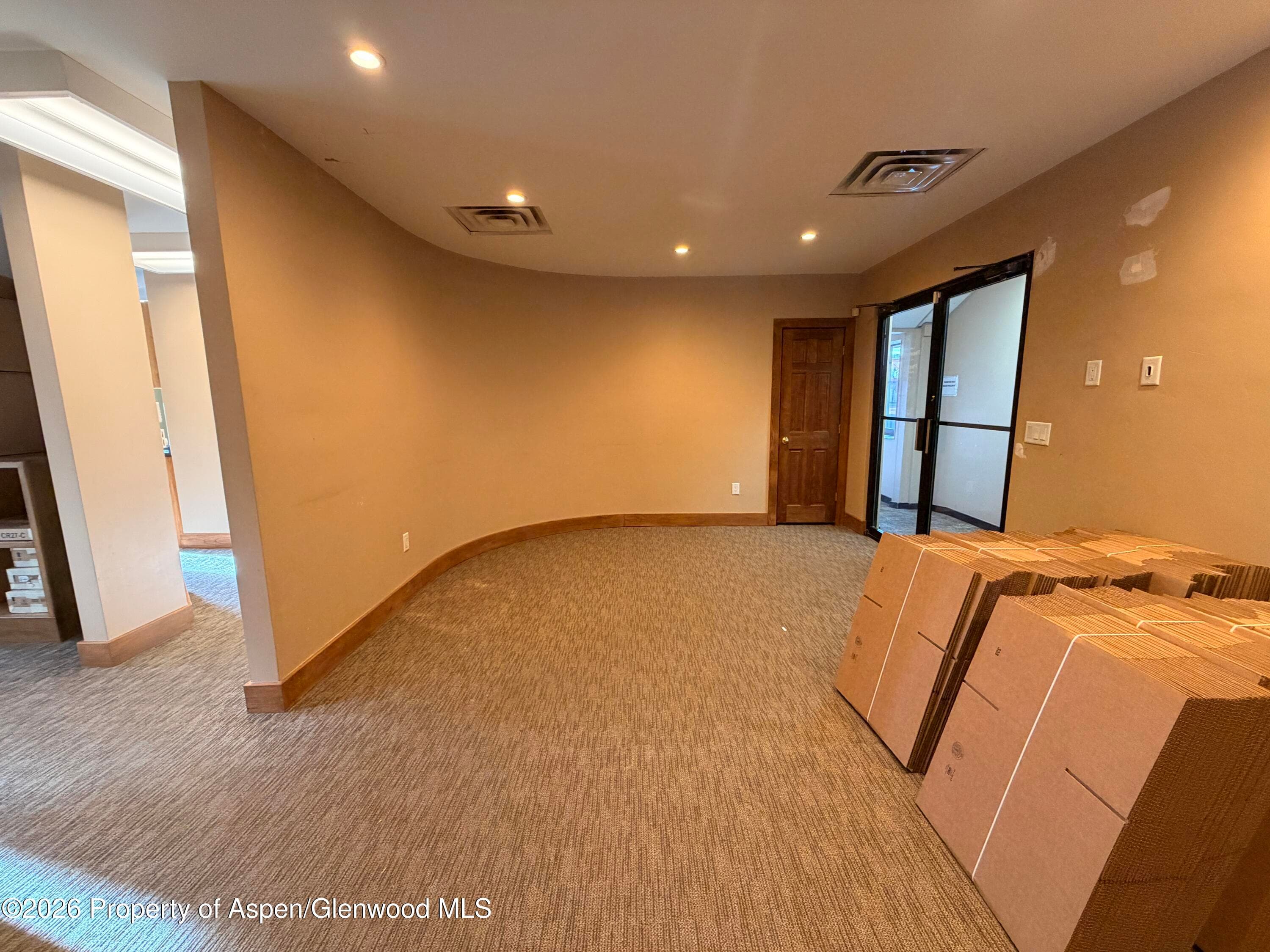 205 S Mill Street 301-A, Aspen, CO 81611 - Photo 12